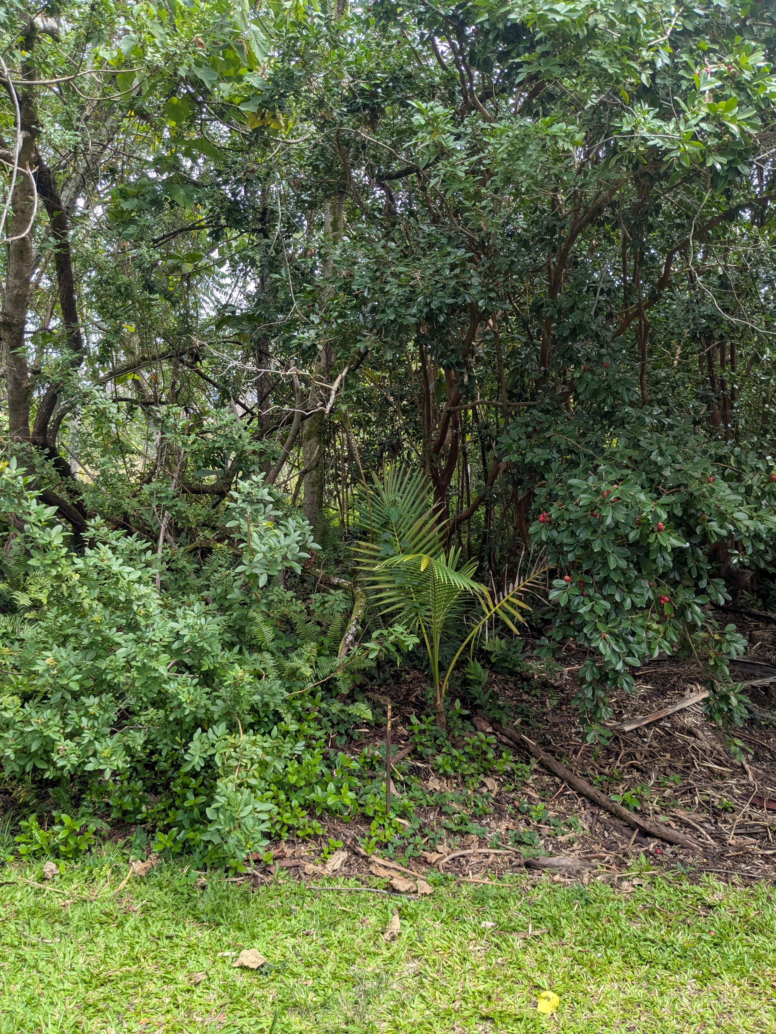 12-262 Pohakupele Loop Property Photo 3