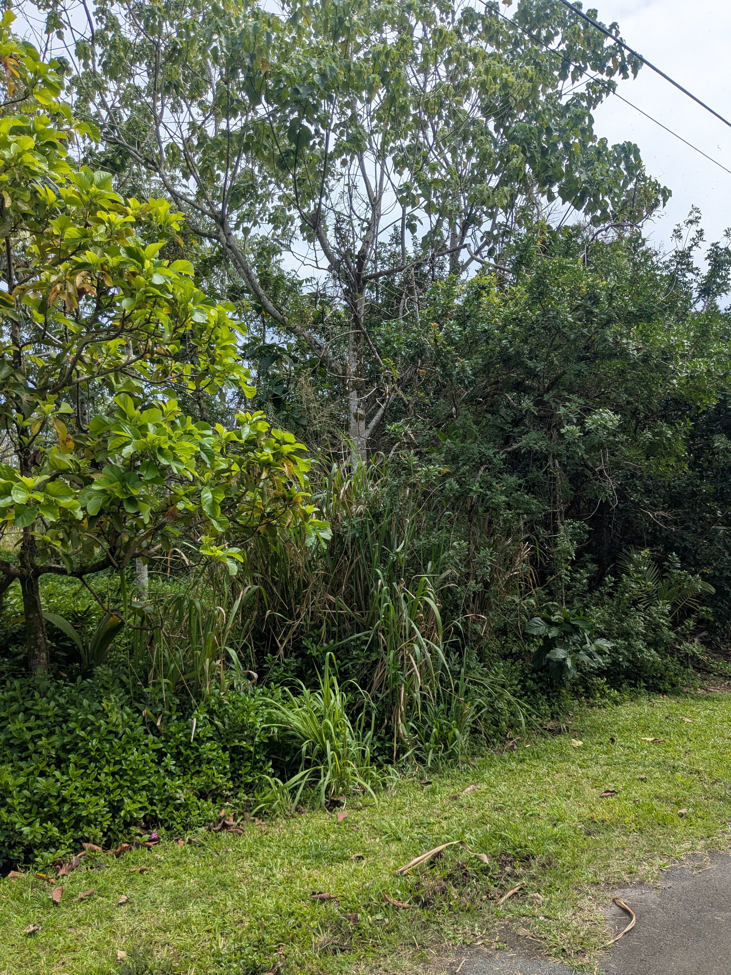 12-262 Pohakupele Loop Property Photo 4