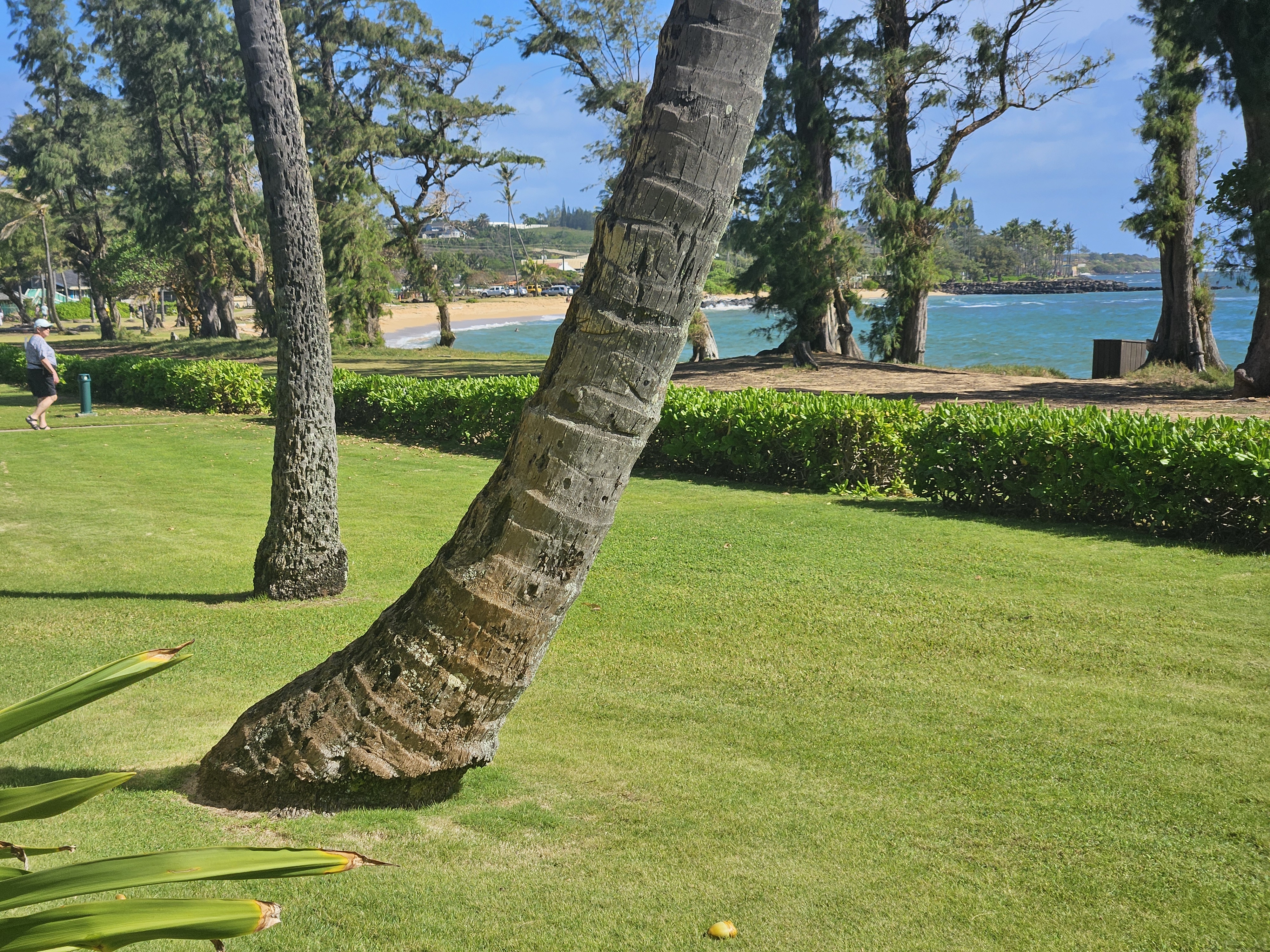 4-1250 Kuhio Hwy C107 Property Photo 17