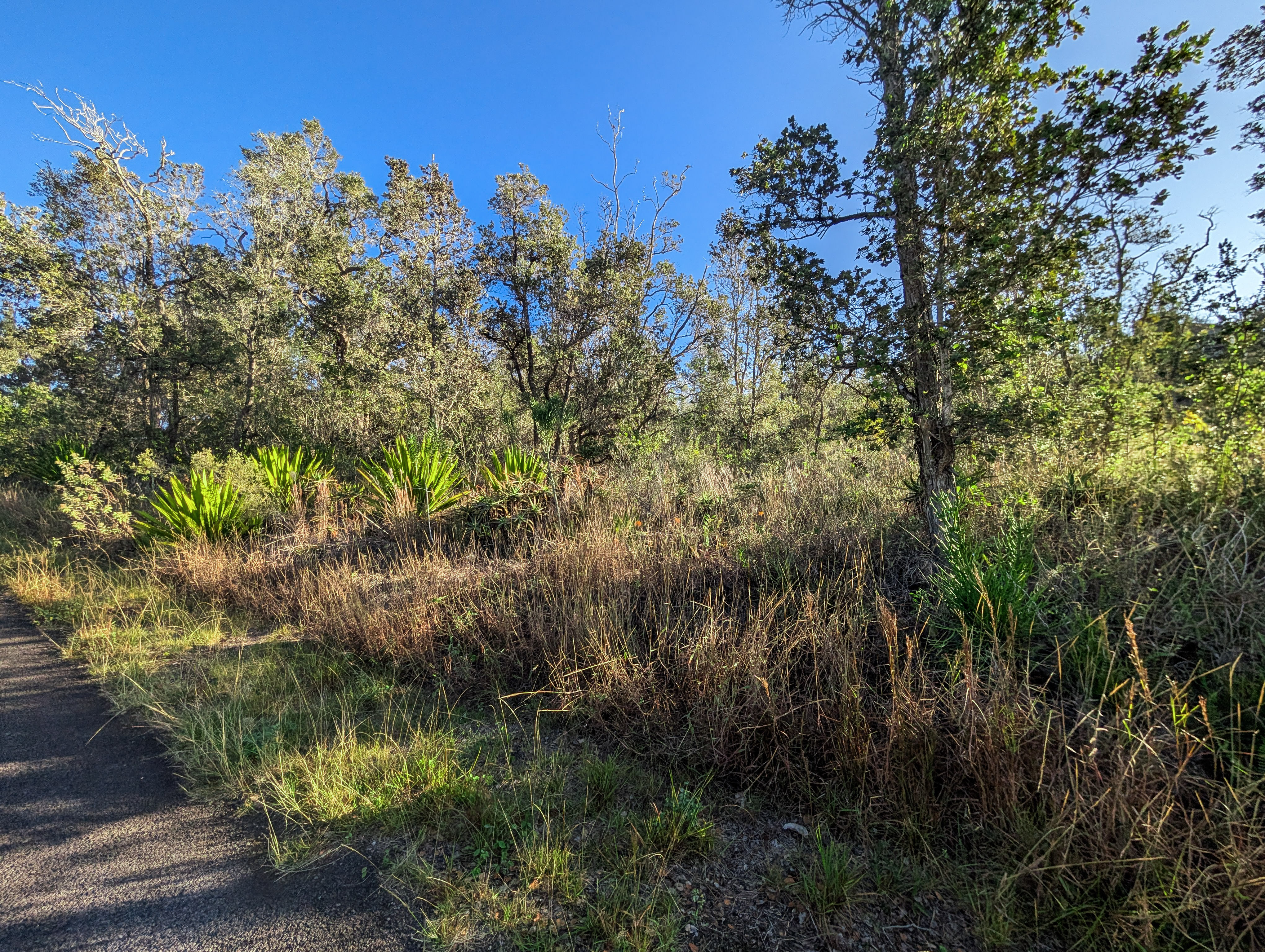 Leilani Pkwy Property Photo 1