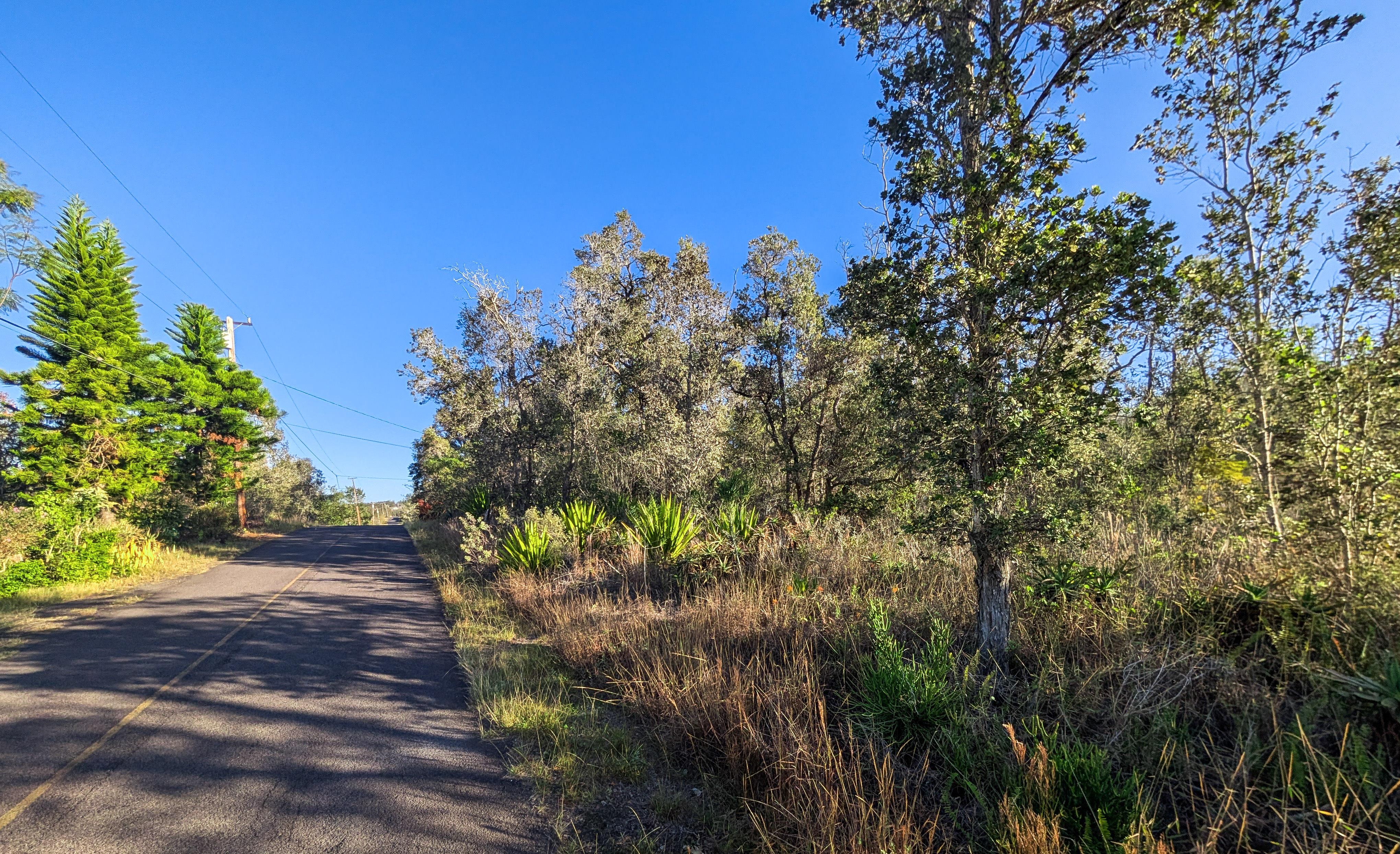 Leilani Pkwy Property Photo 2