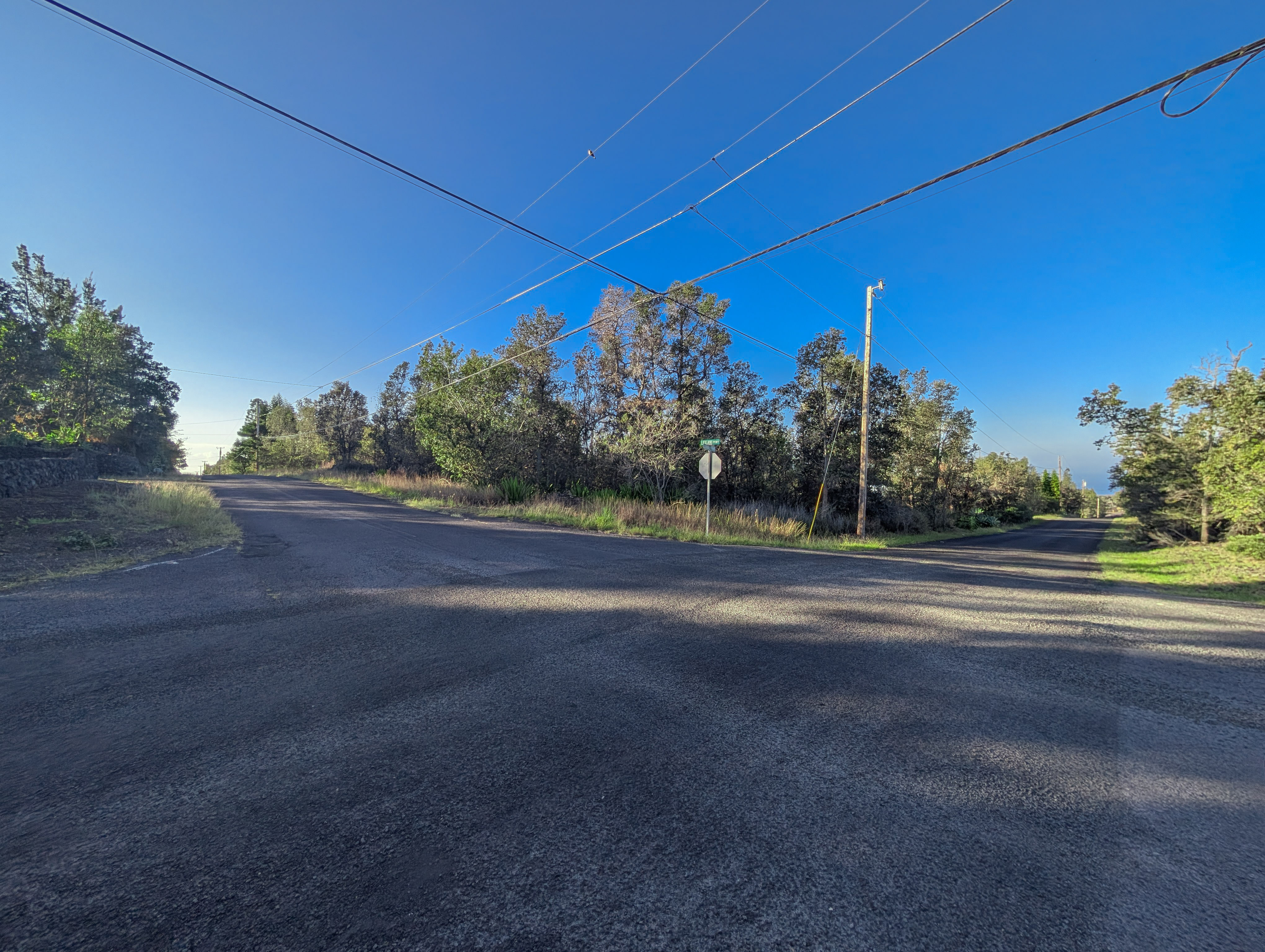 Leilani Pkwy Property Photo 3