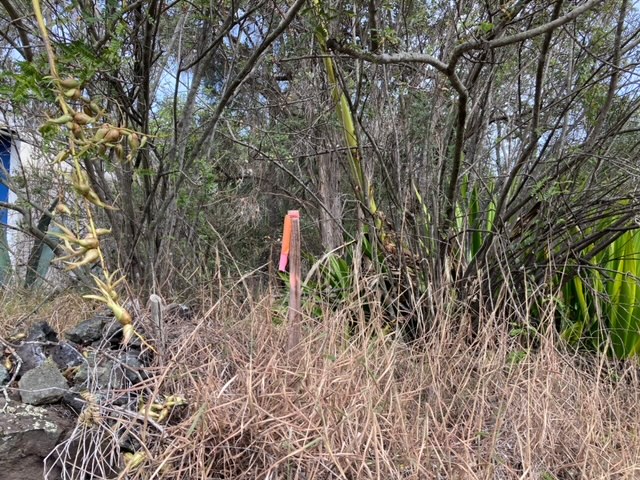 Leilani Pkwy Property Photo 6