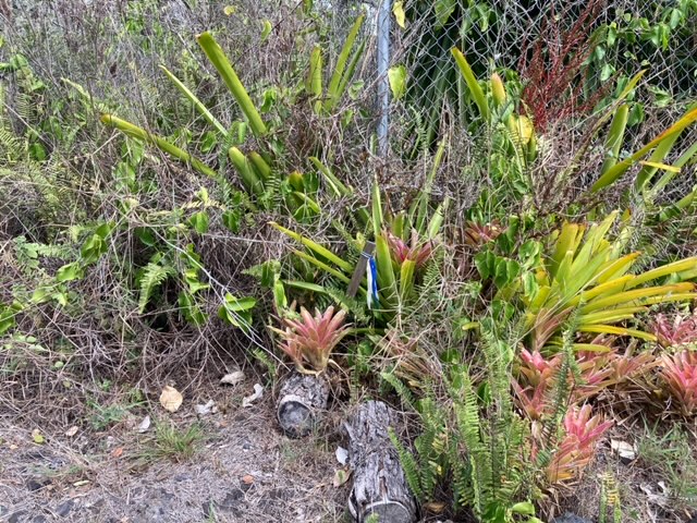 Leilani Pkwy Property Photo 7
