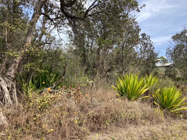 Leilani Pkwy Property Photo 10