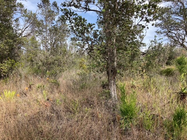 Leilani Pkwy Property Photo 13