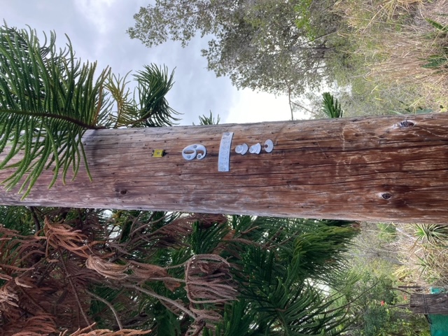 Leilani Pkwy Property Photo 14