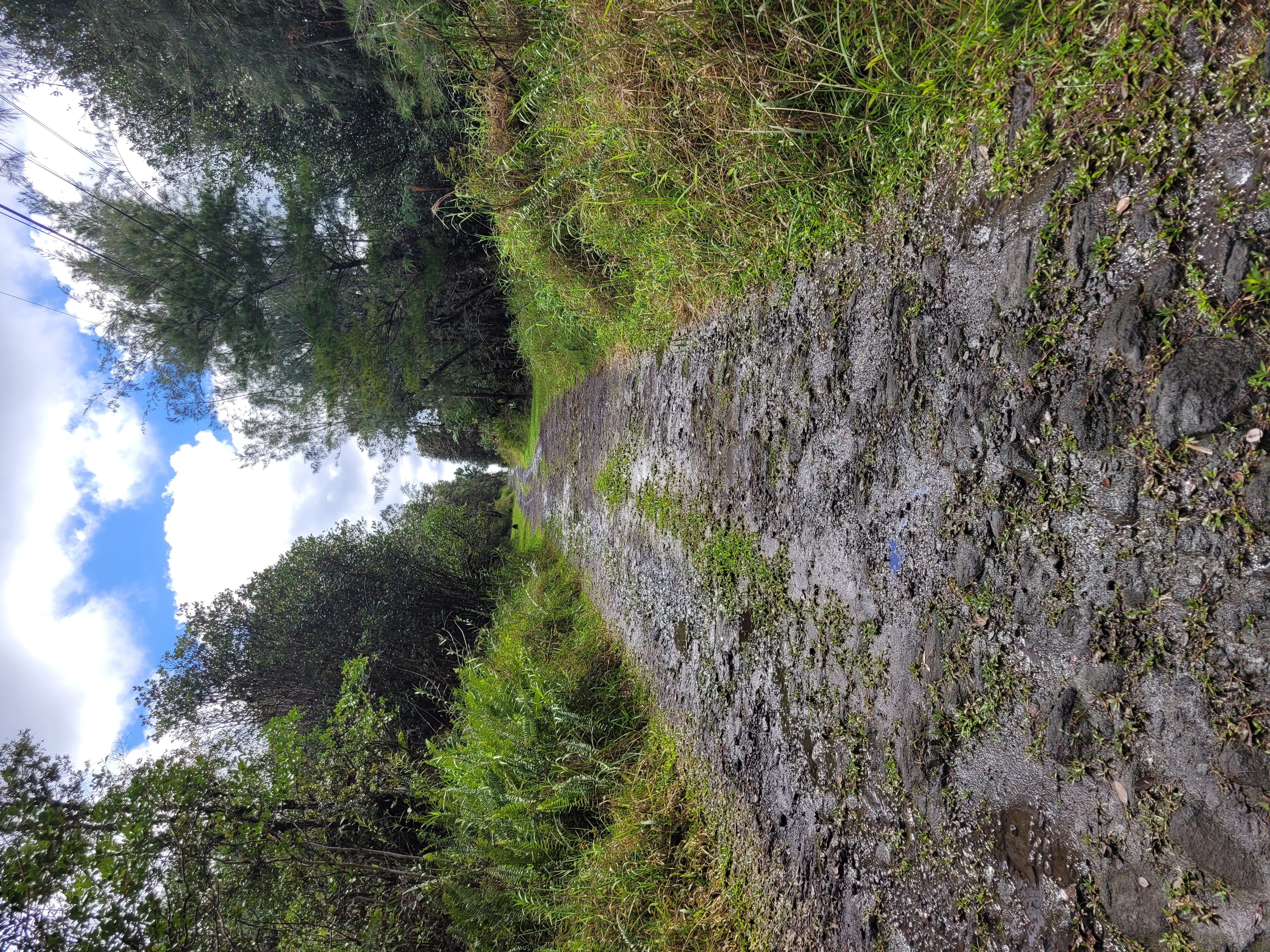 Road 5 (uau) Property Photo 4