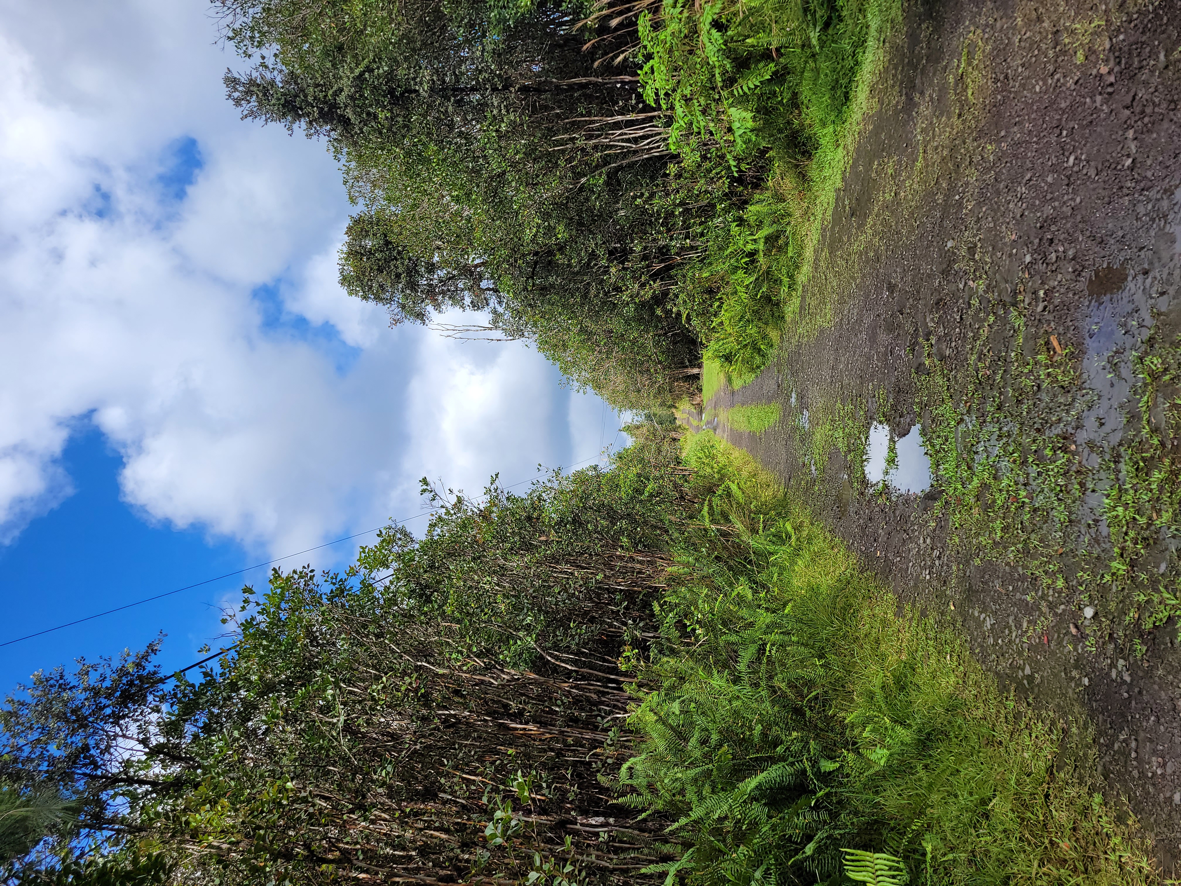 Road 5 (uau) Property Photo 5