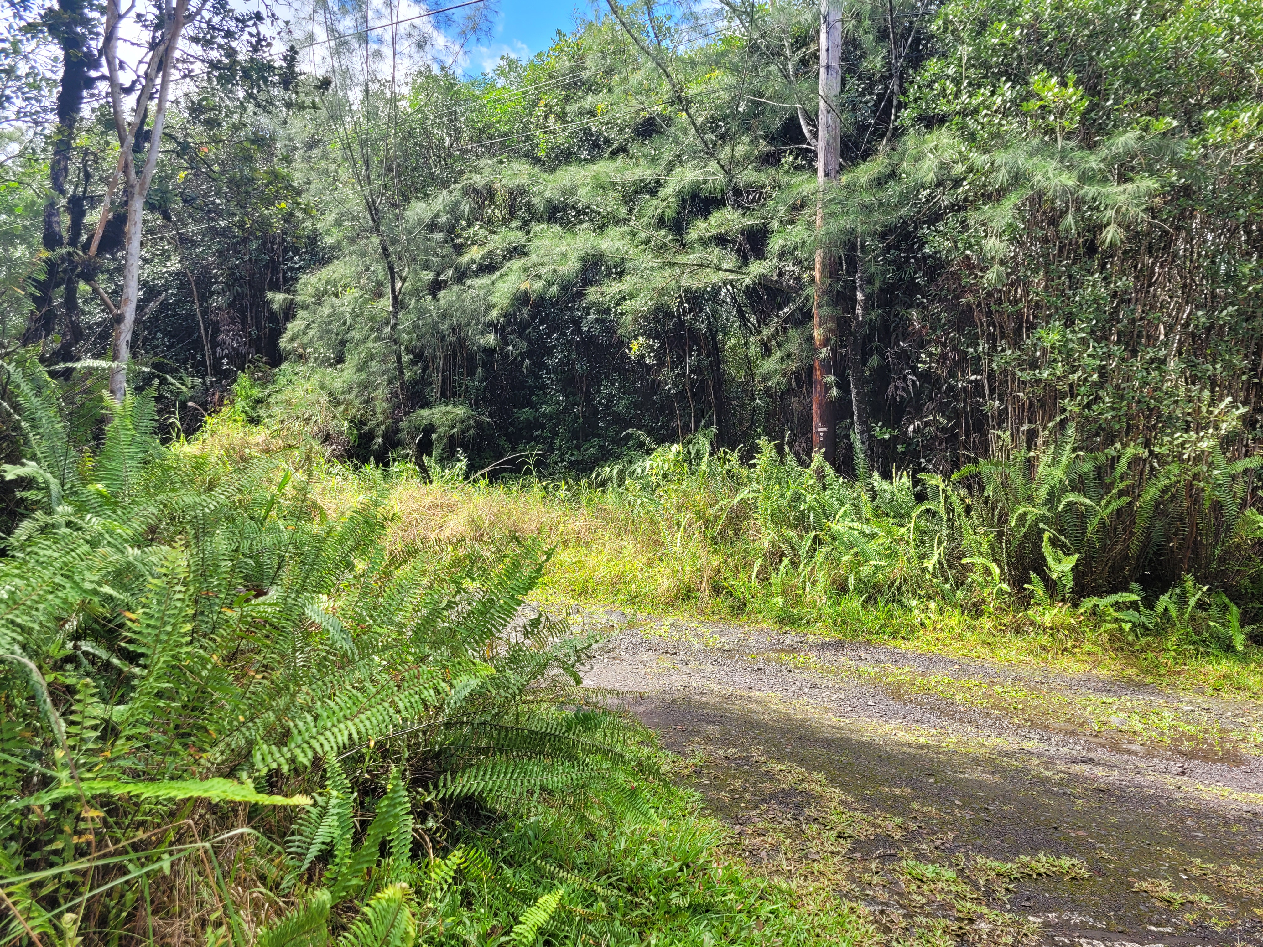 Road 5 (uau) Property Photo 6