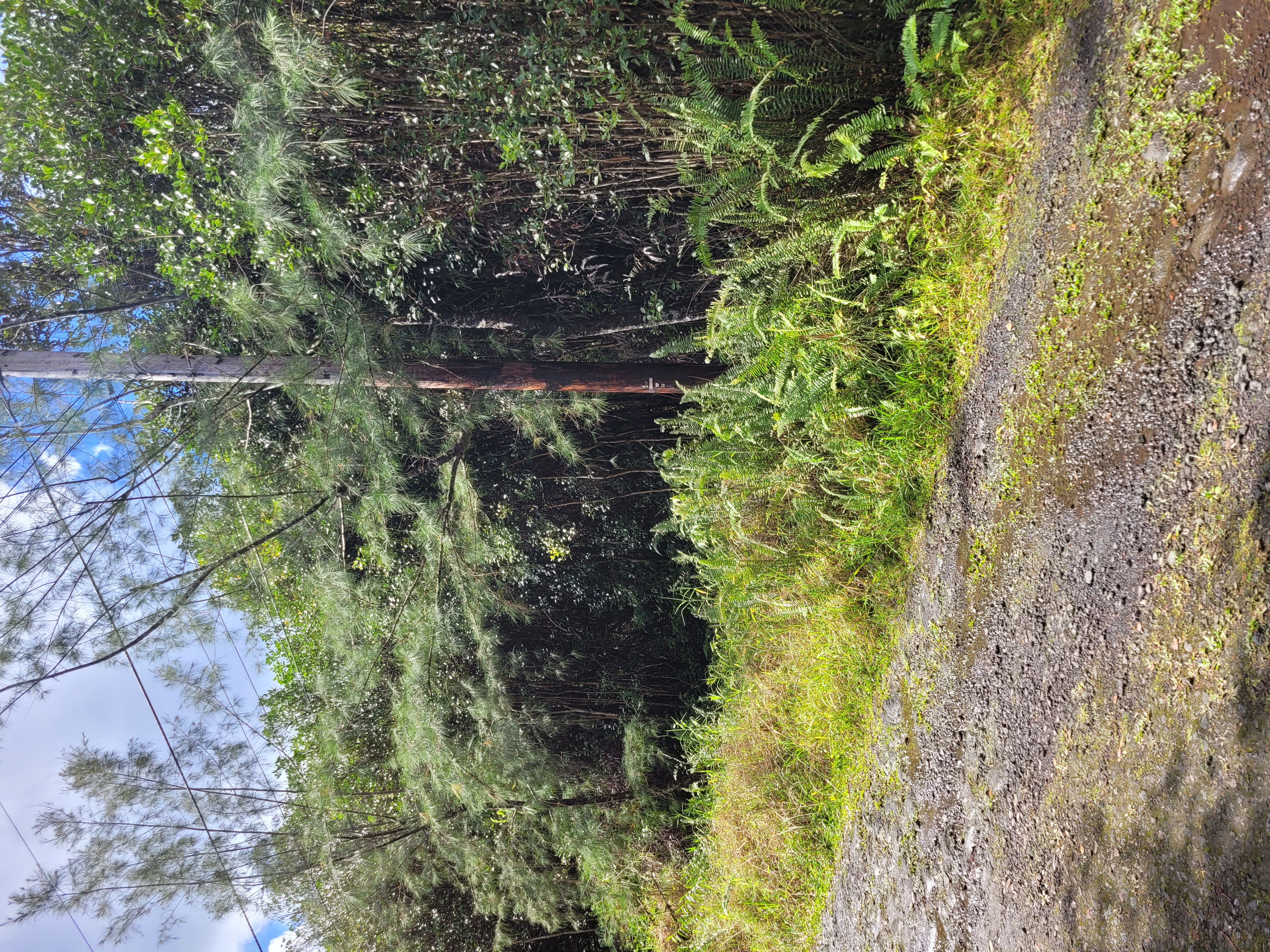 Road 5 (uau) Property Photo 7
