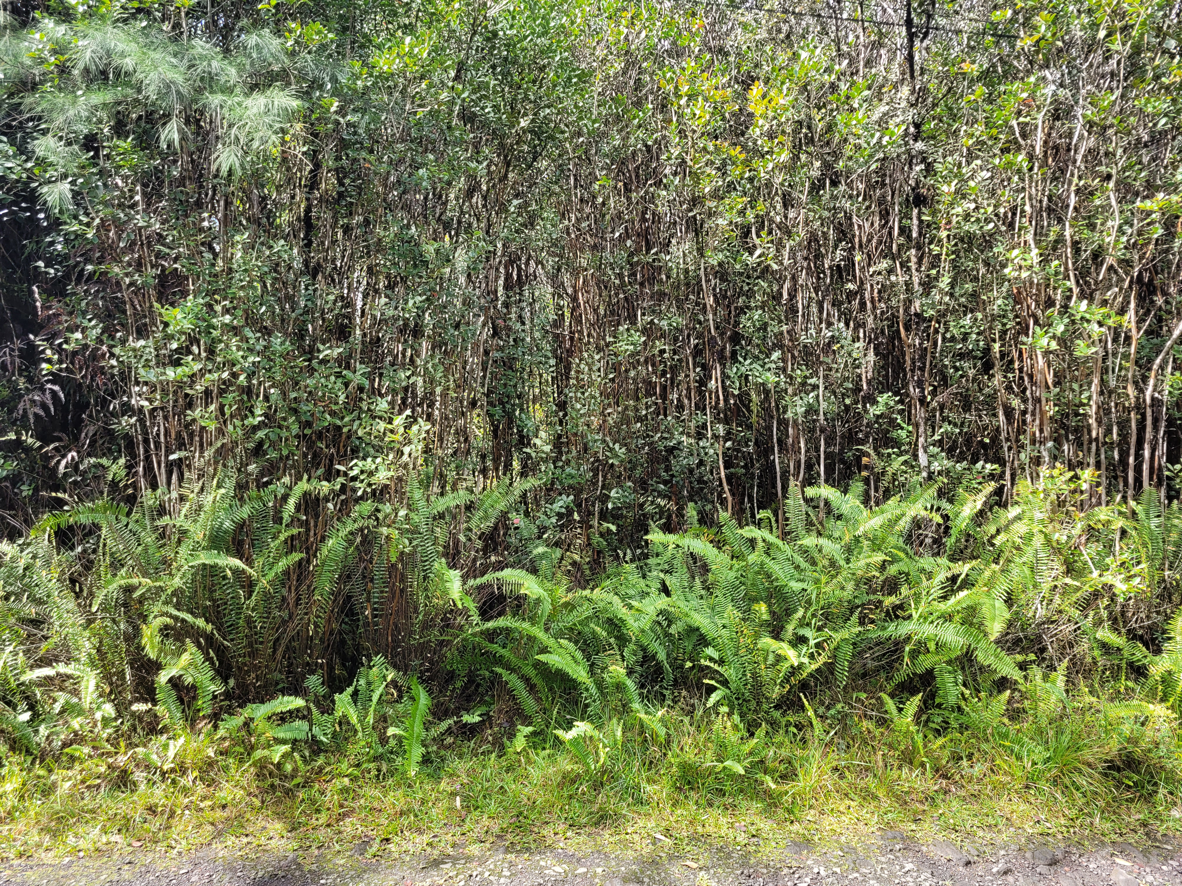 Road 5 (uau) Property Photo 8