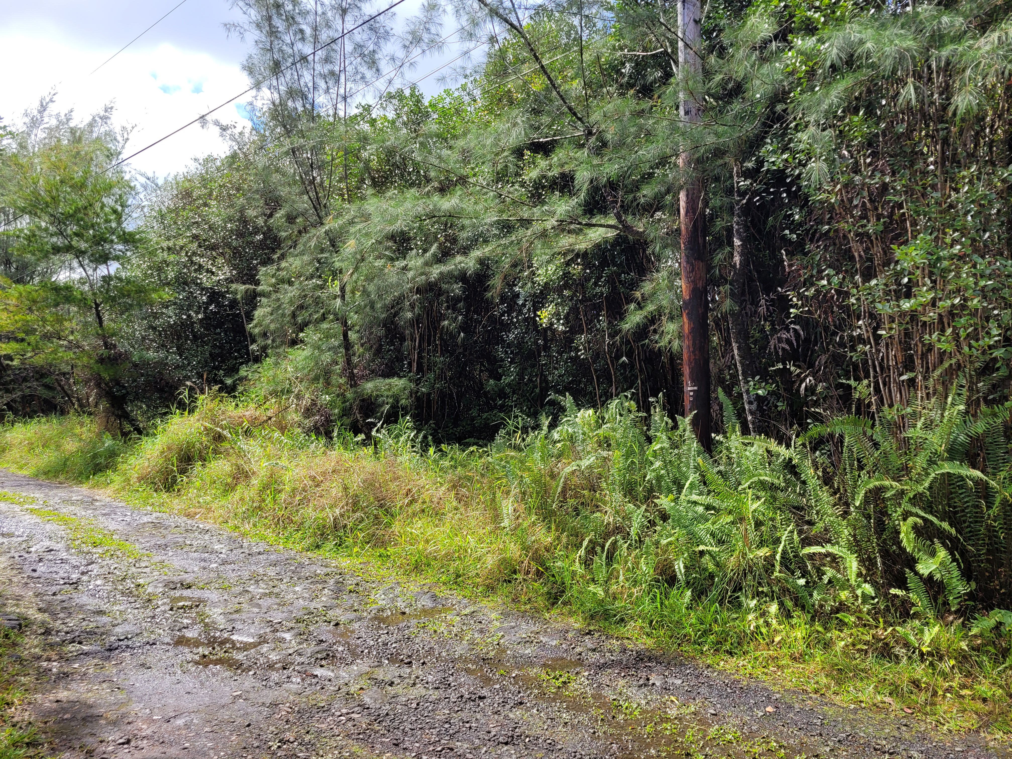 Road 5 (uau) Property Photo 9