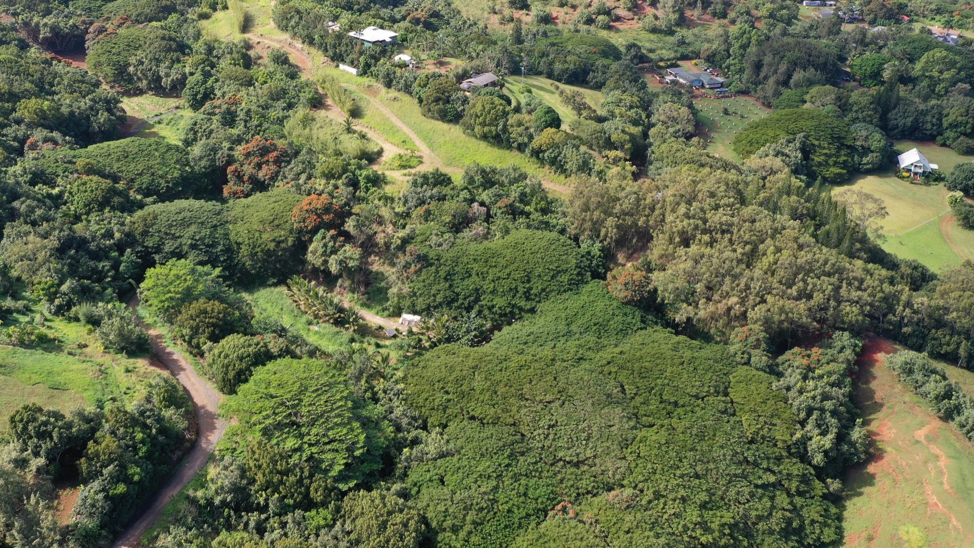 5409 Laipo Rd 2 Property Photo 2