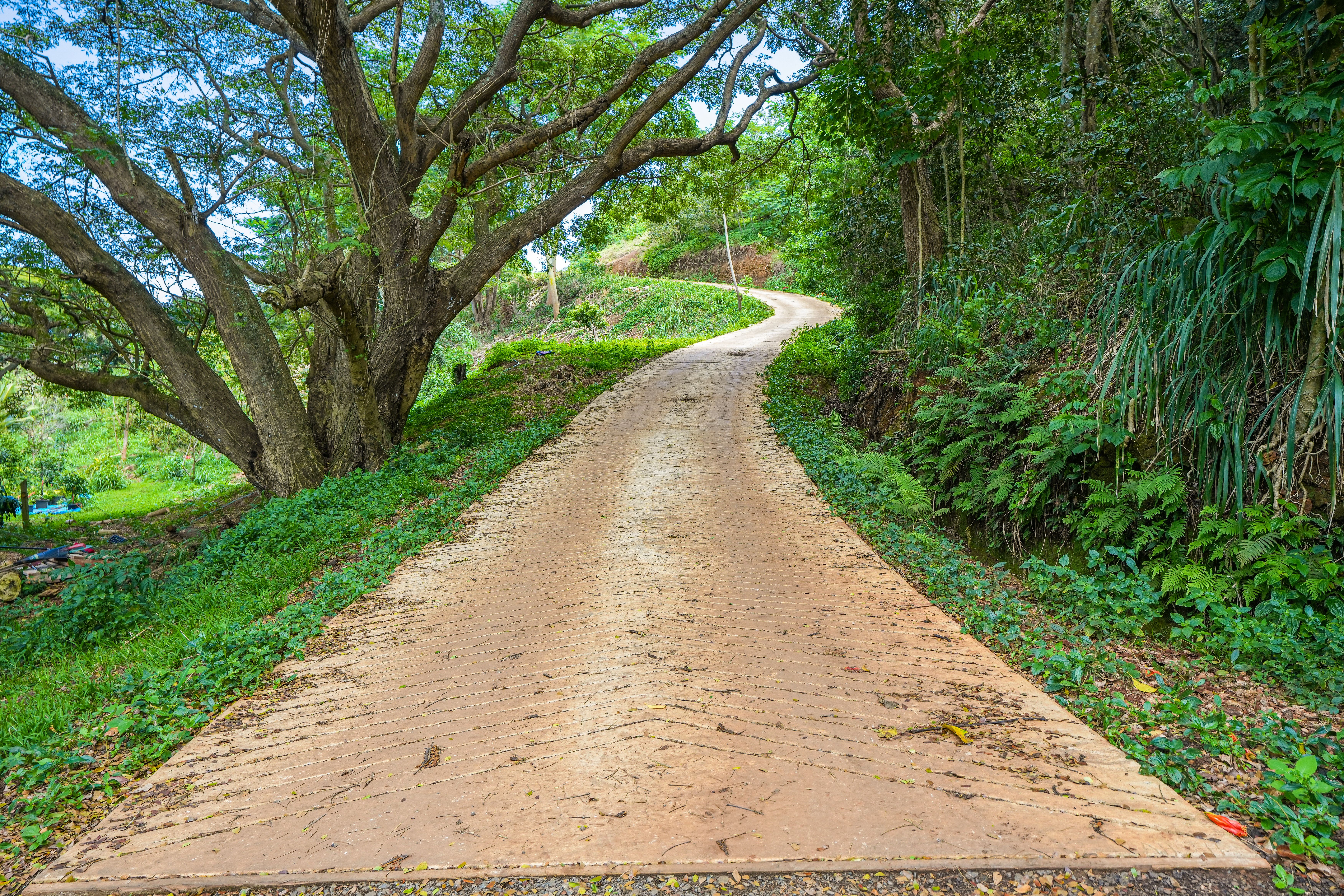 5409 Laipo Rd 2 Property Photo 22