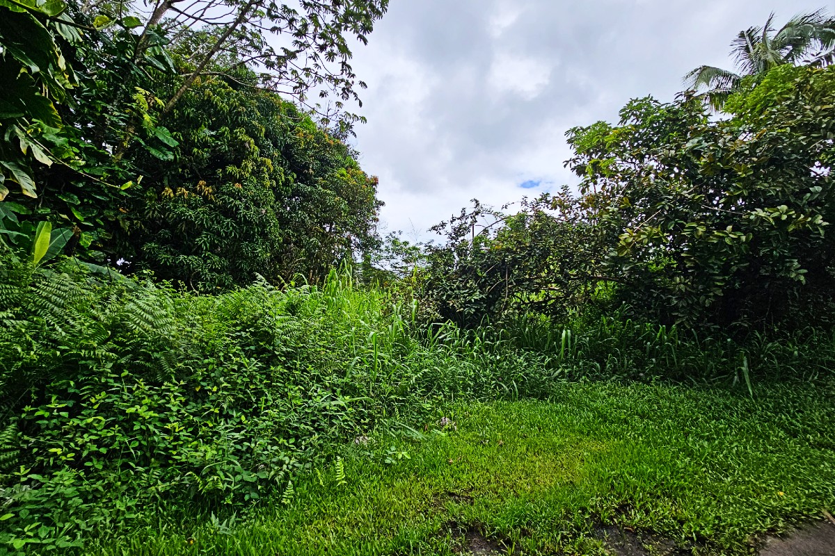 Driftwood Rd Lot 202 Property Photo 3