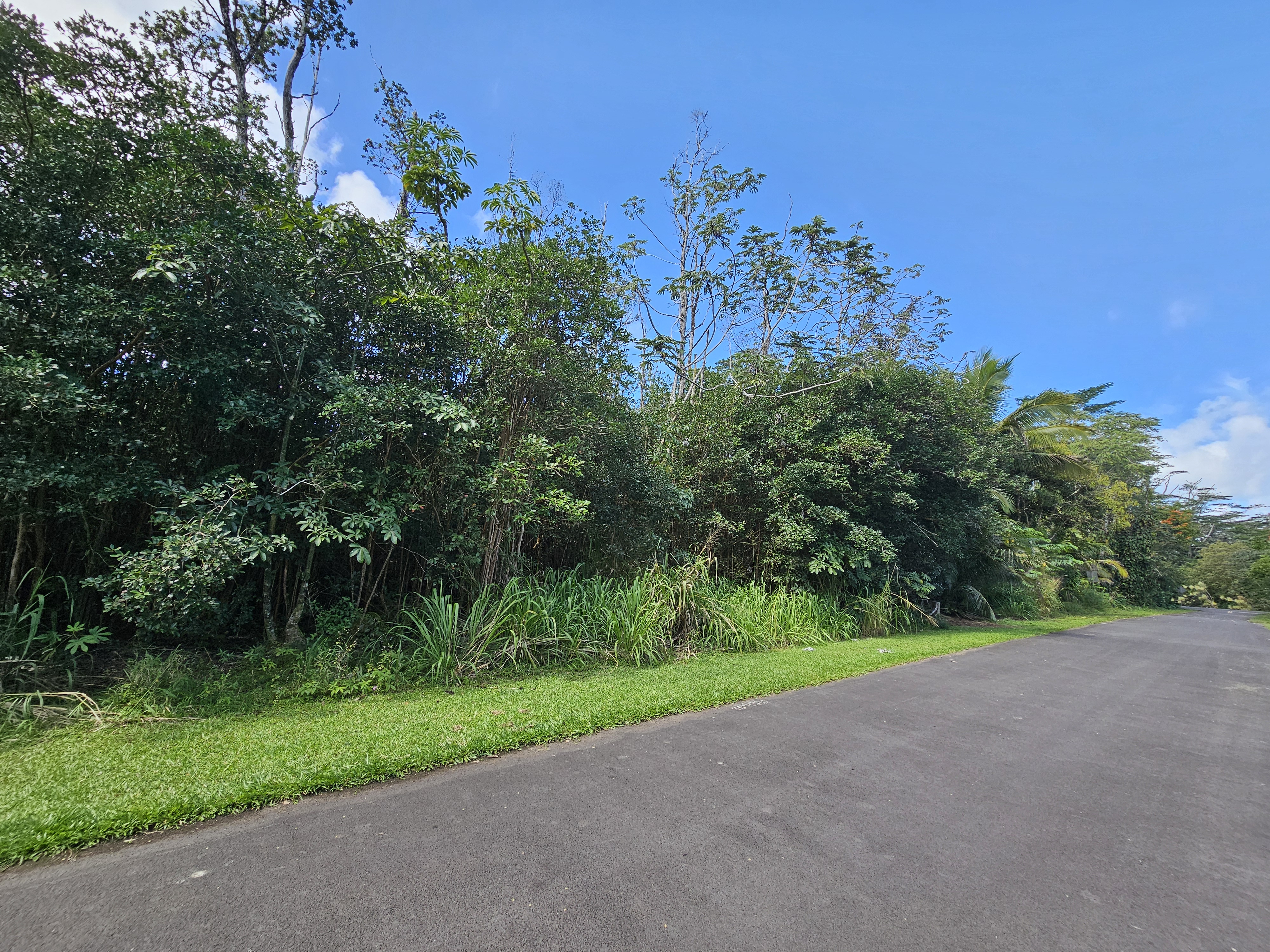 Hinalea St Property Photo 1