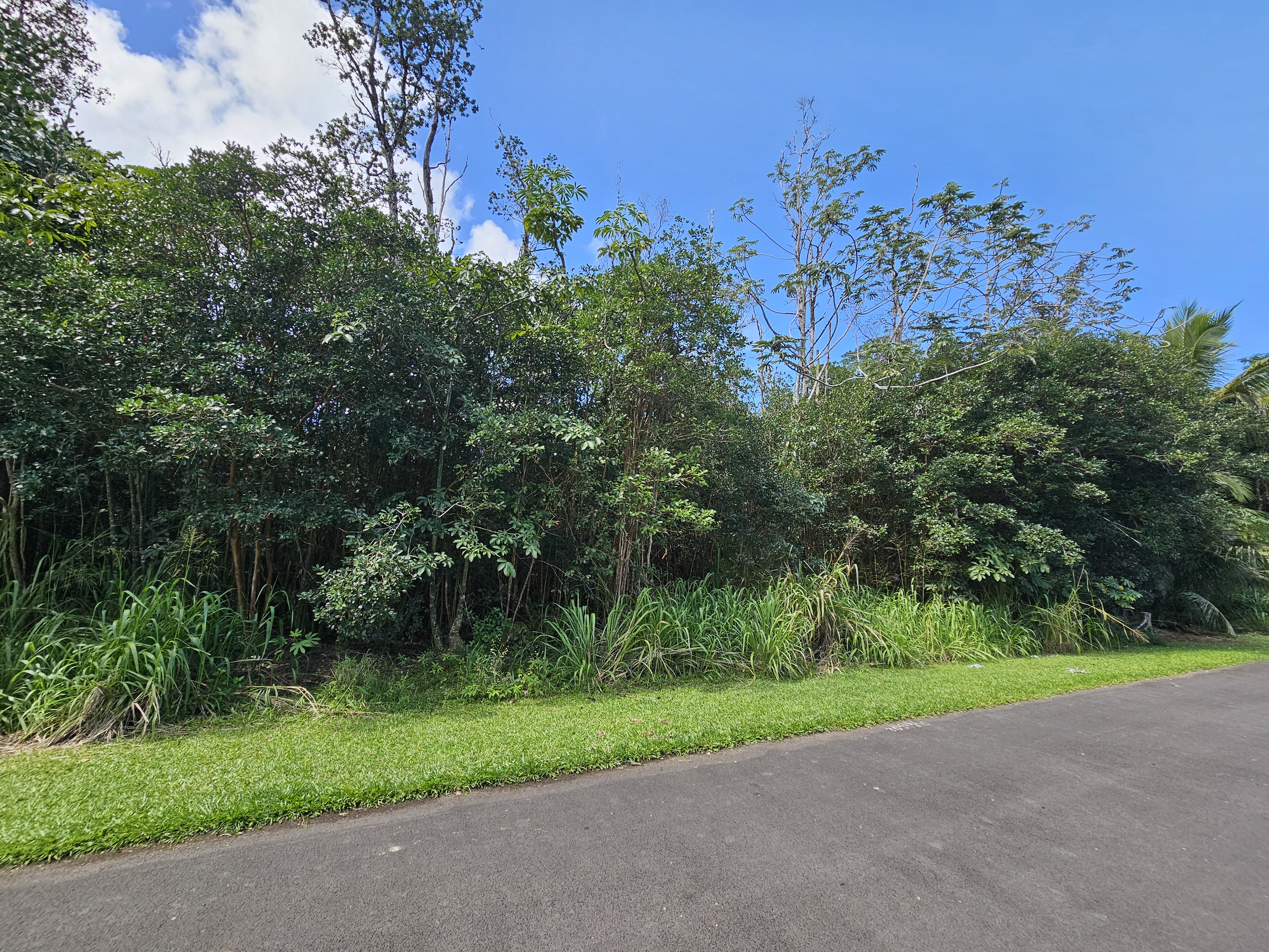 Hinalea St Property Photo 2