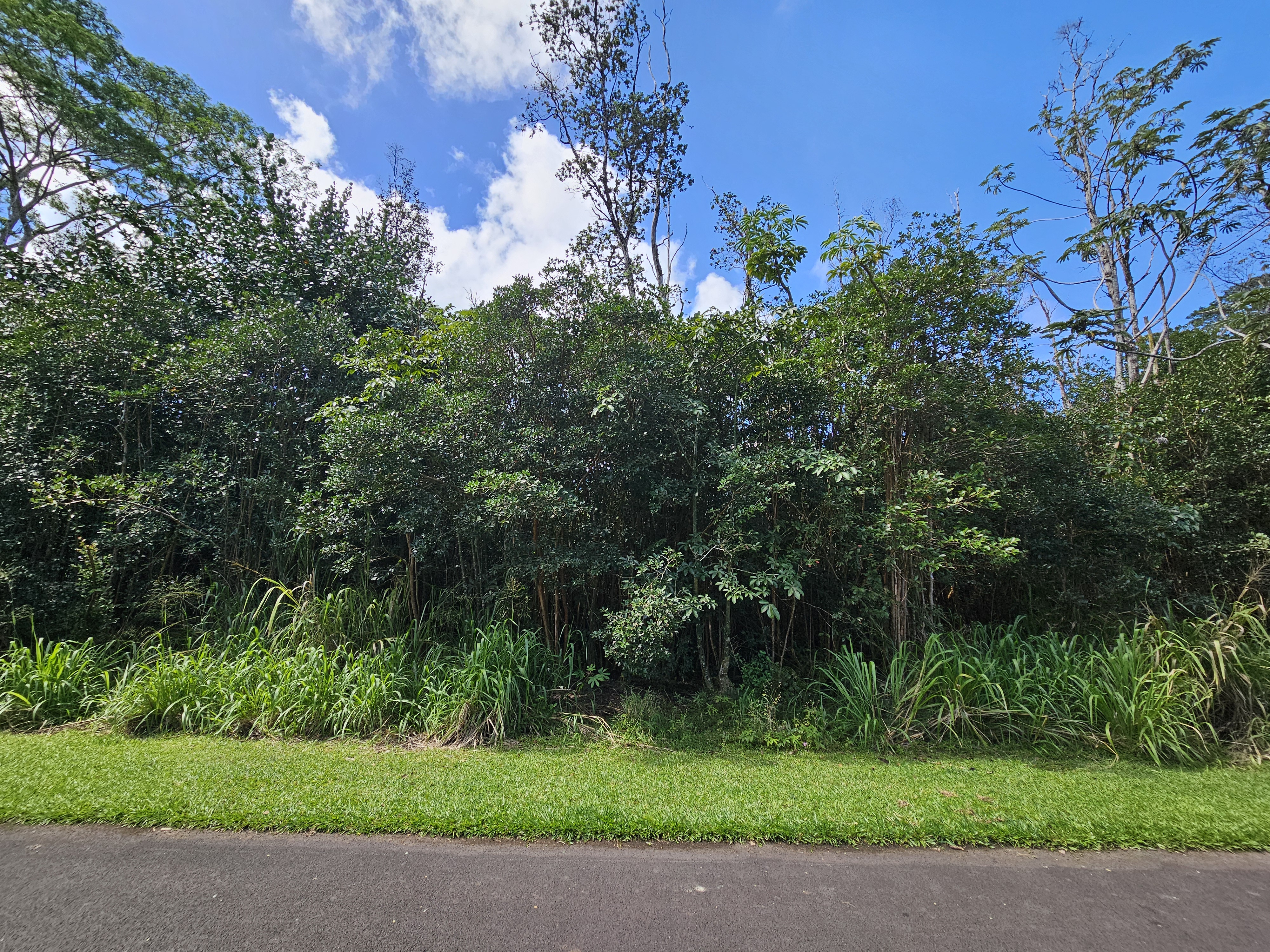 Hinalea St Property Photo 3