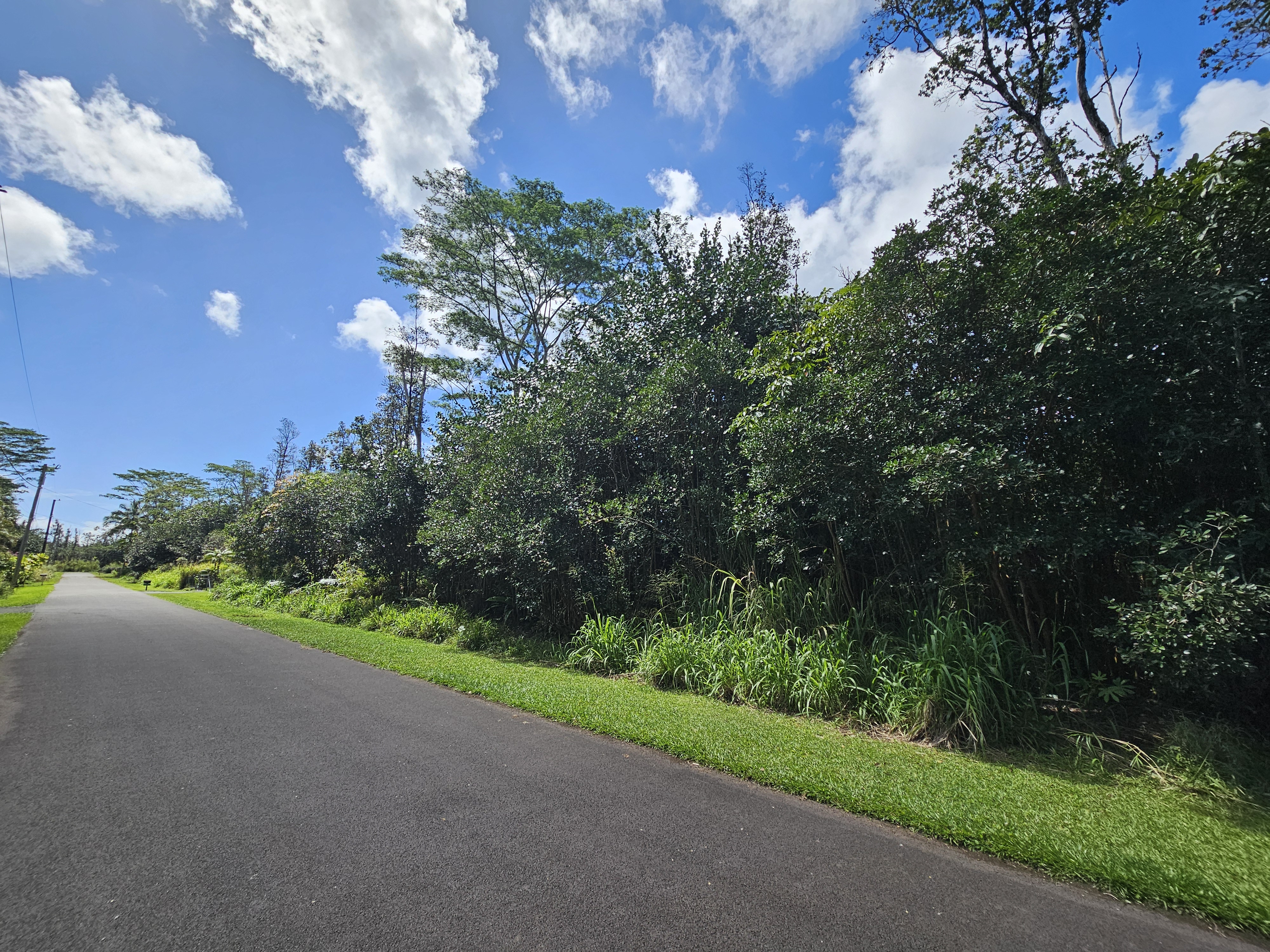Hinalea St Property Photo 5