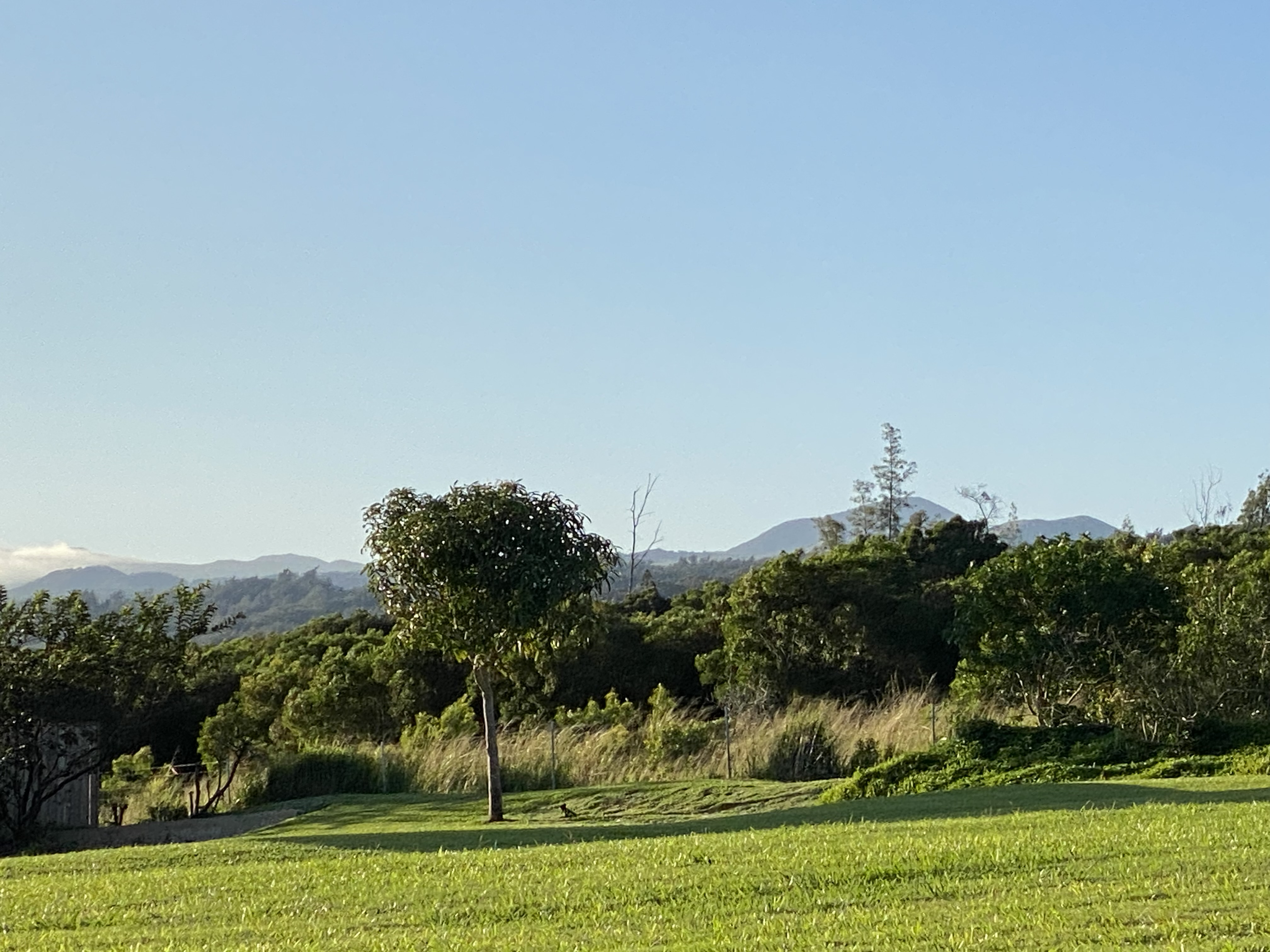 54-3708 Lehuula Circle Property Photo 4