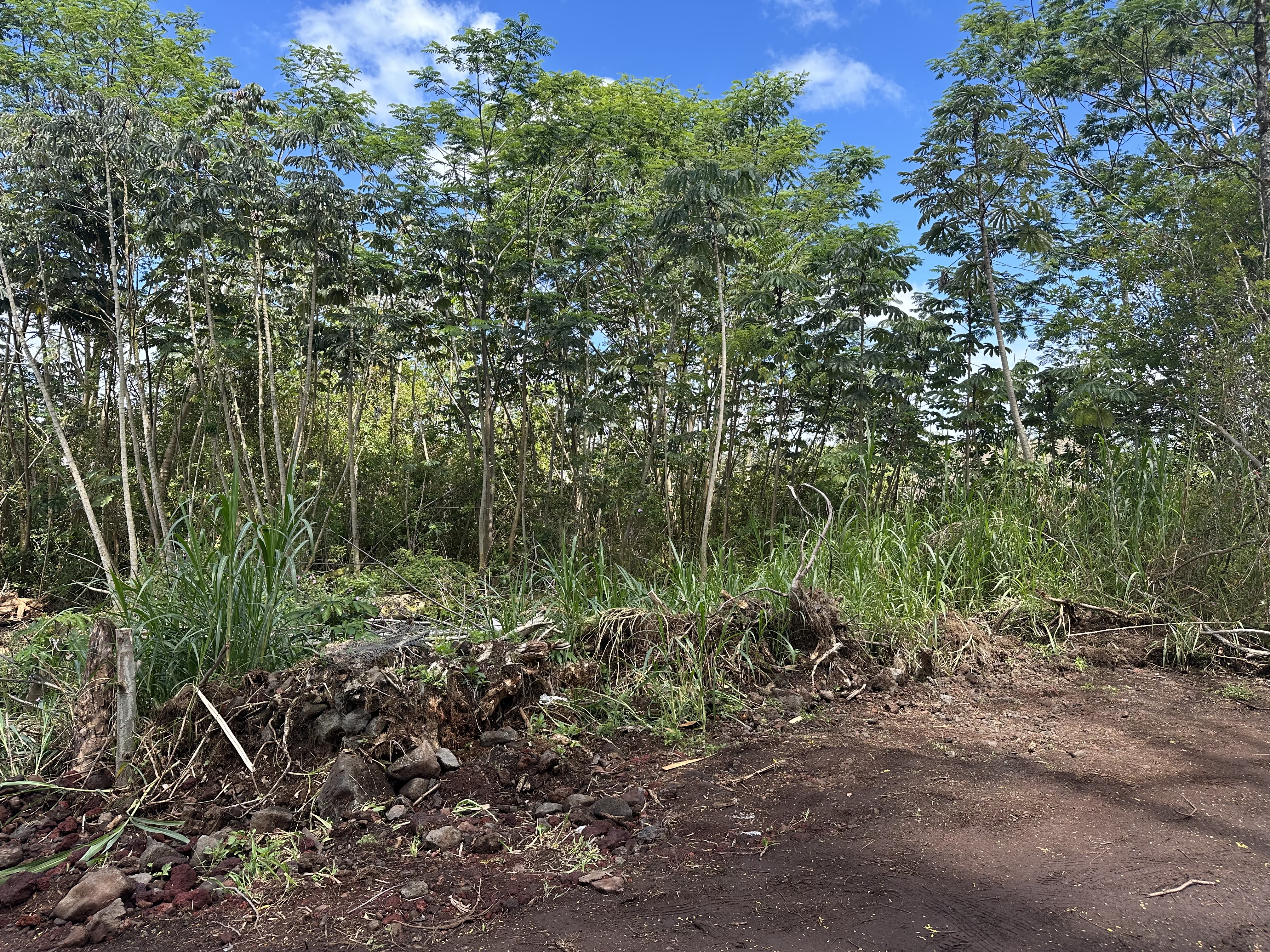 King Kamehameha Blvd Property Photo 1