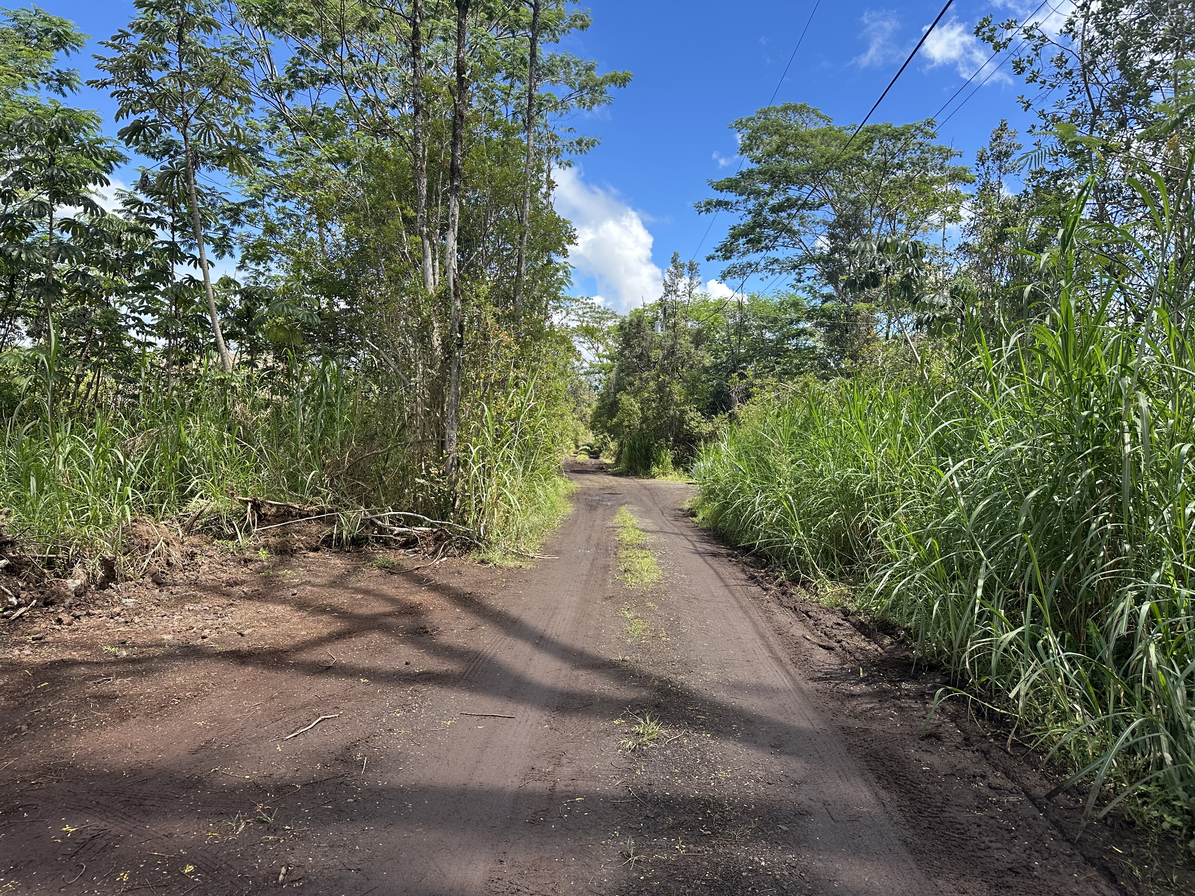 King Kamehameha Blvd Property Photo 2