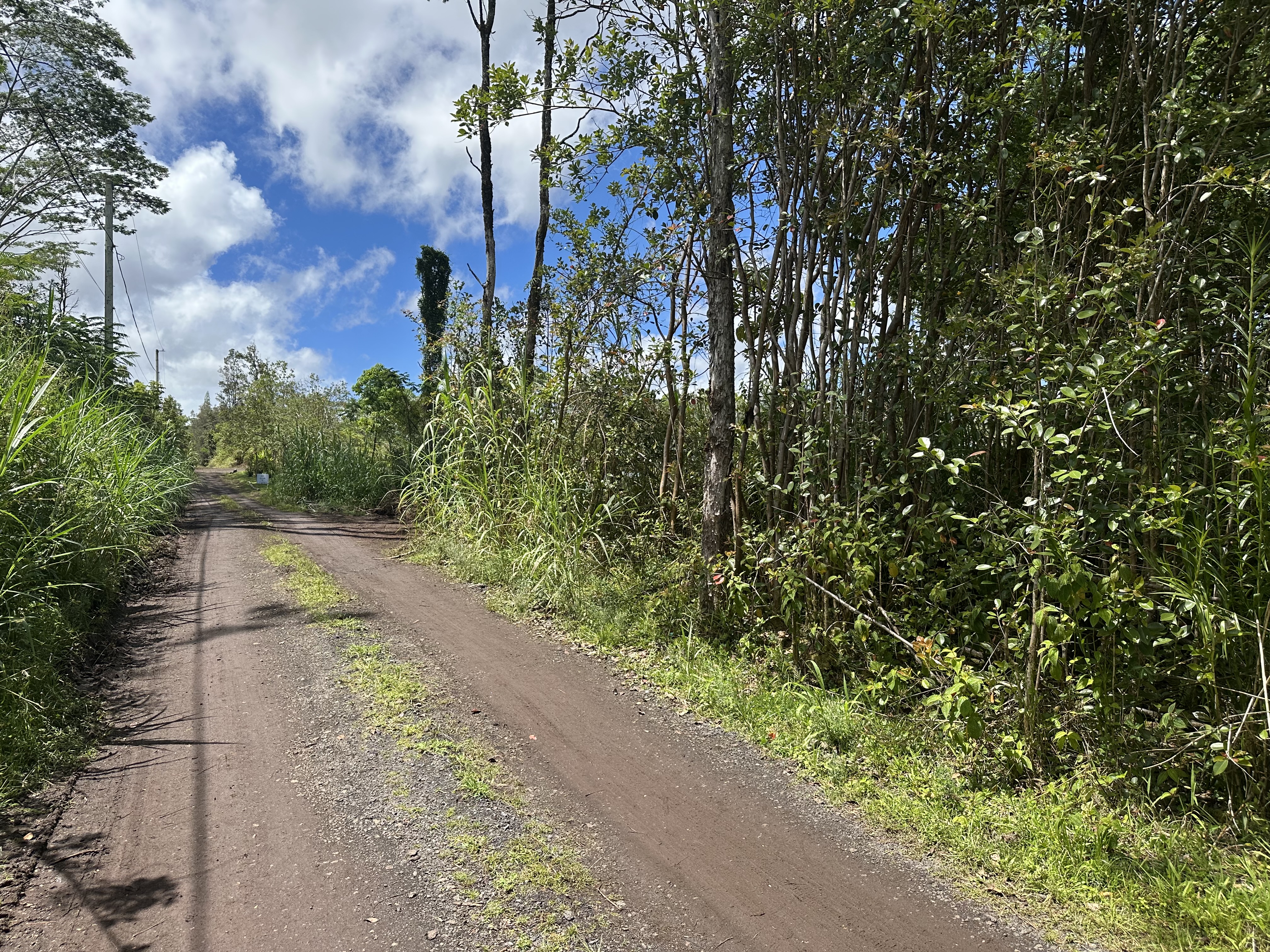 King Kamehameha Blvd Property Photo 3