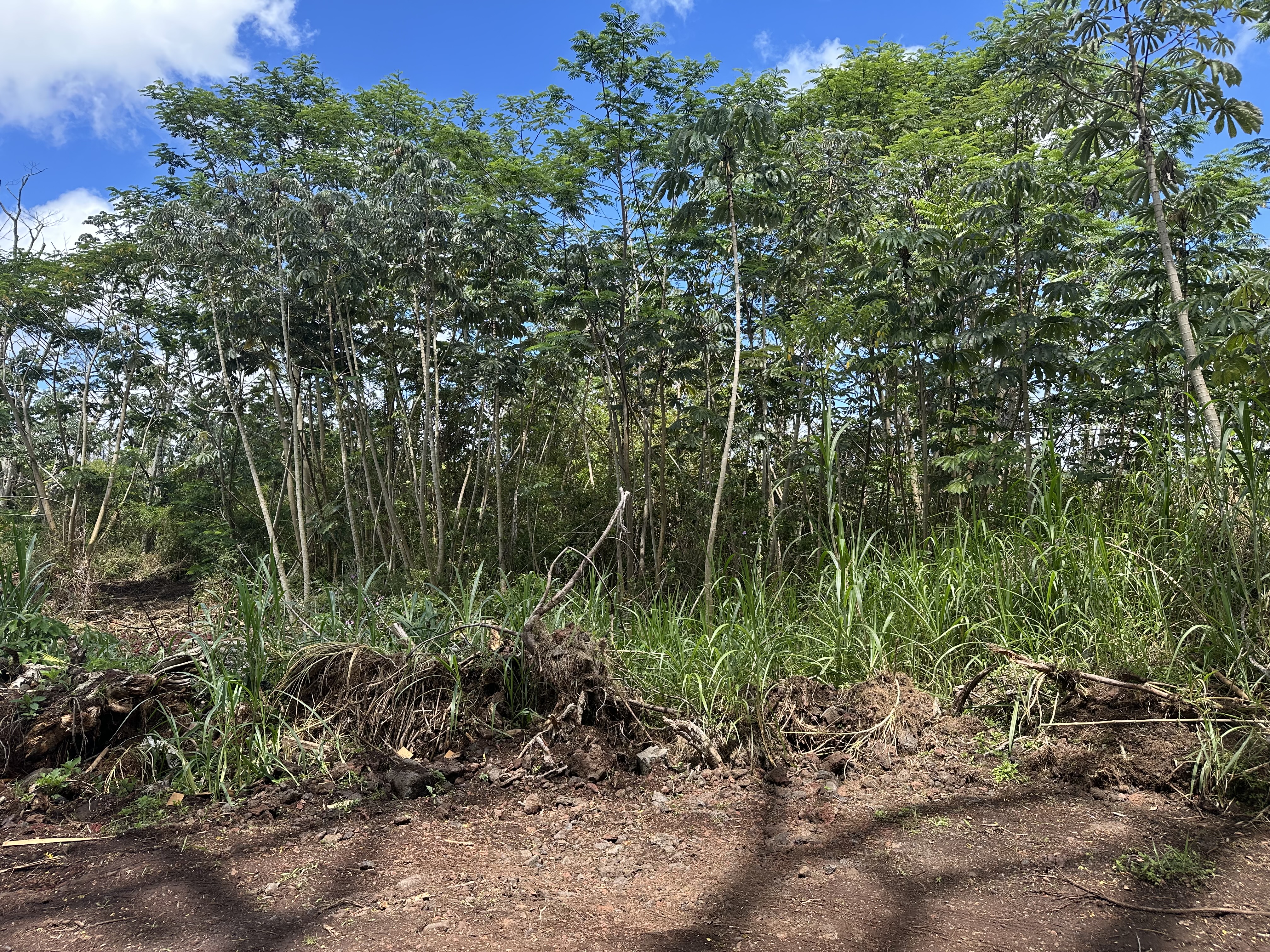 King Kamehameha Blvd Property Photo 4