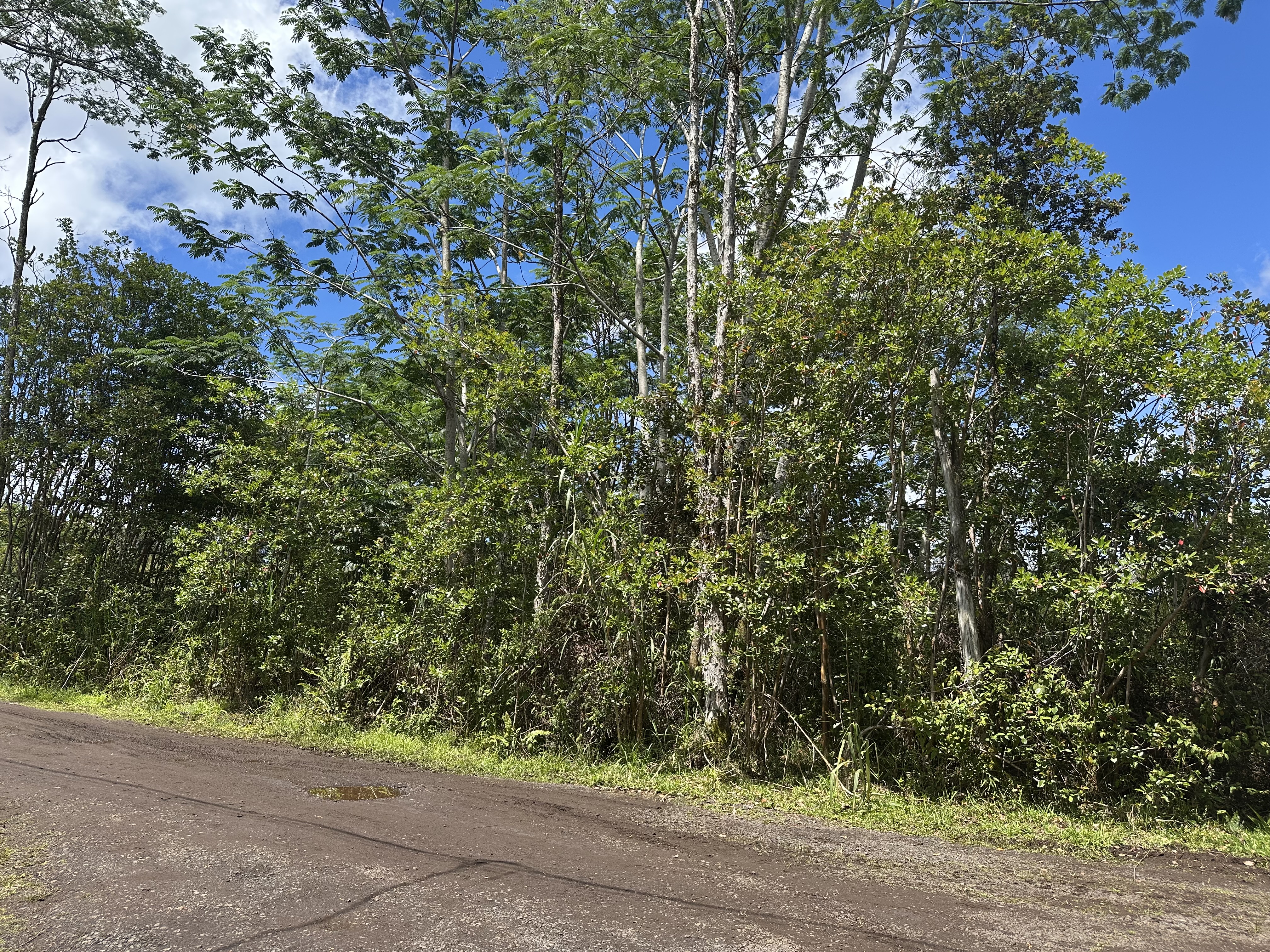 King Kamehameha Blvd Property Photo 1