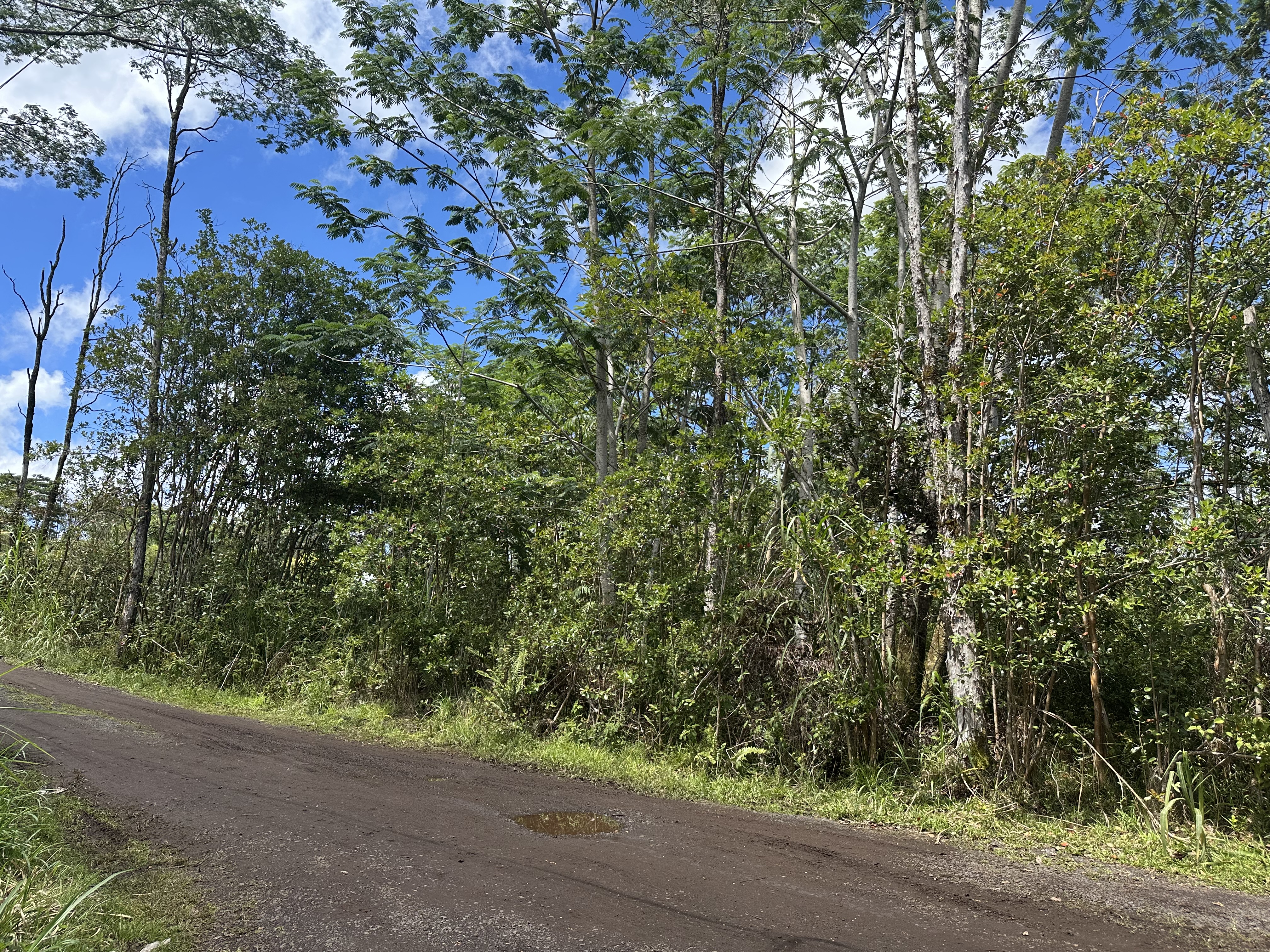 King Kamehameha Blvd Property Photo 3