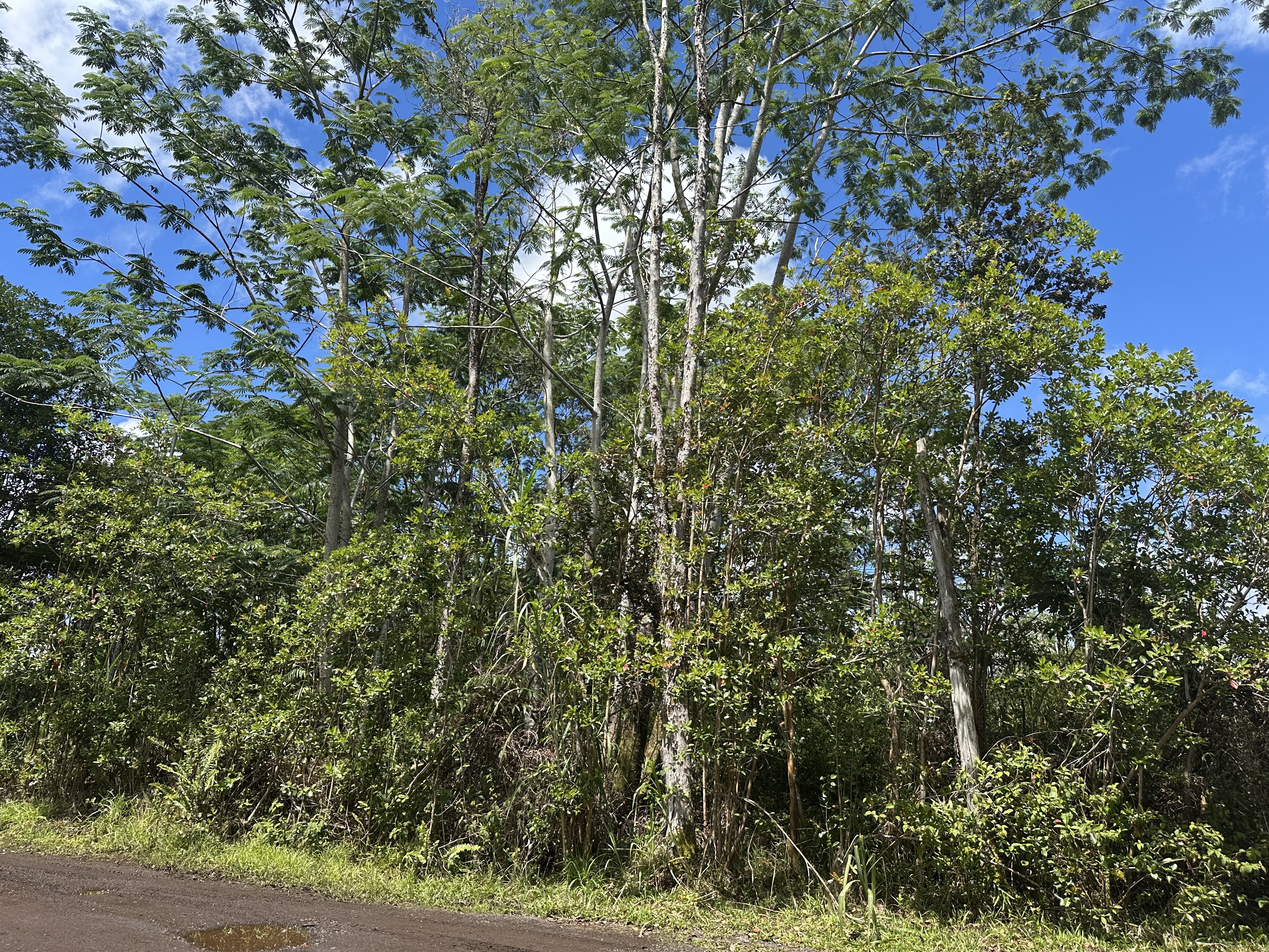 King Kamehameha Blvd Property Photo 4