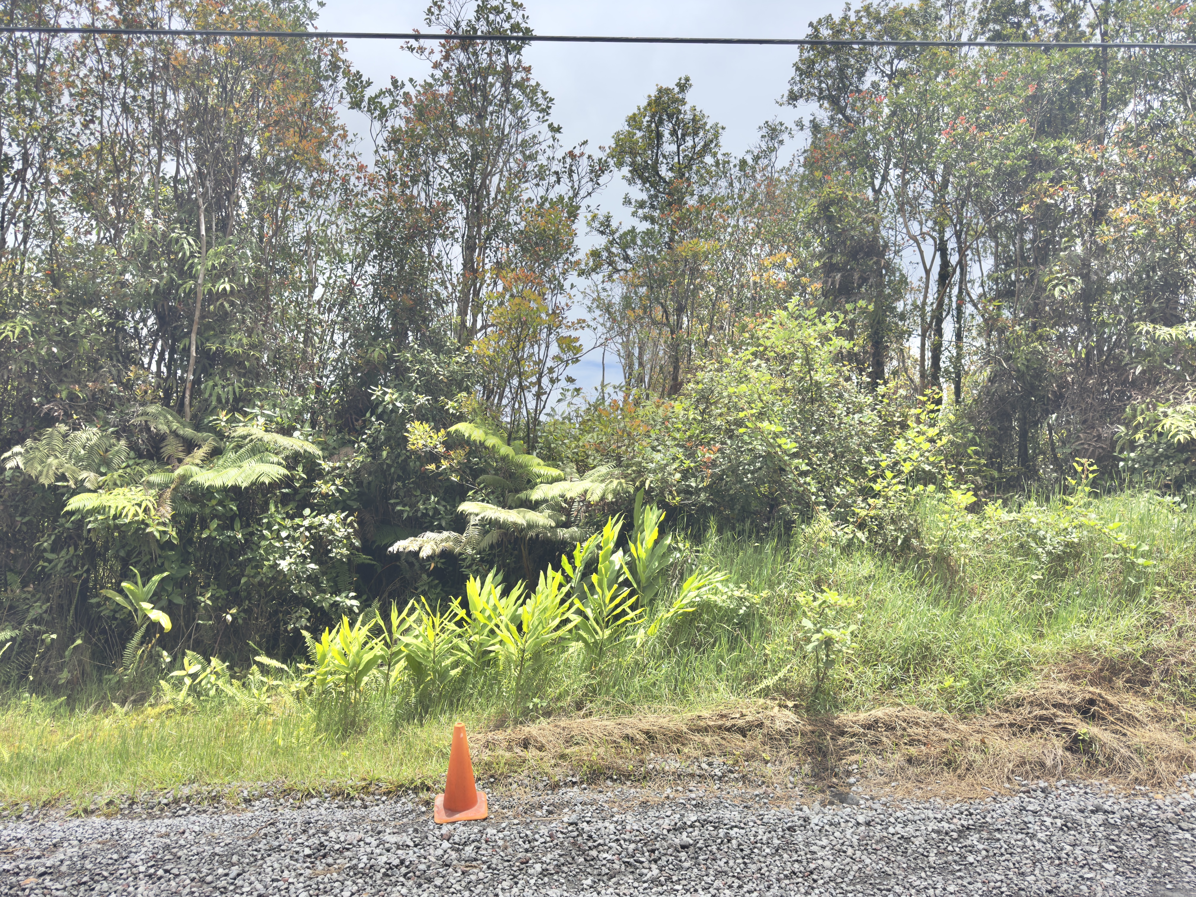 Jungle King Ave Property Photo 1