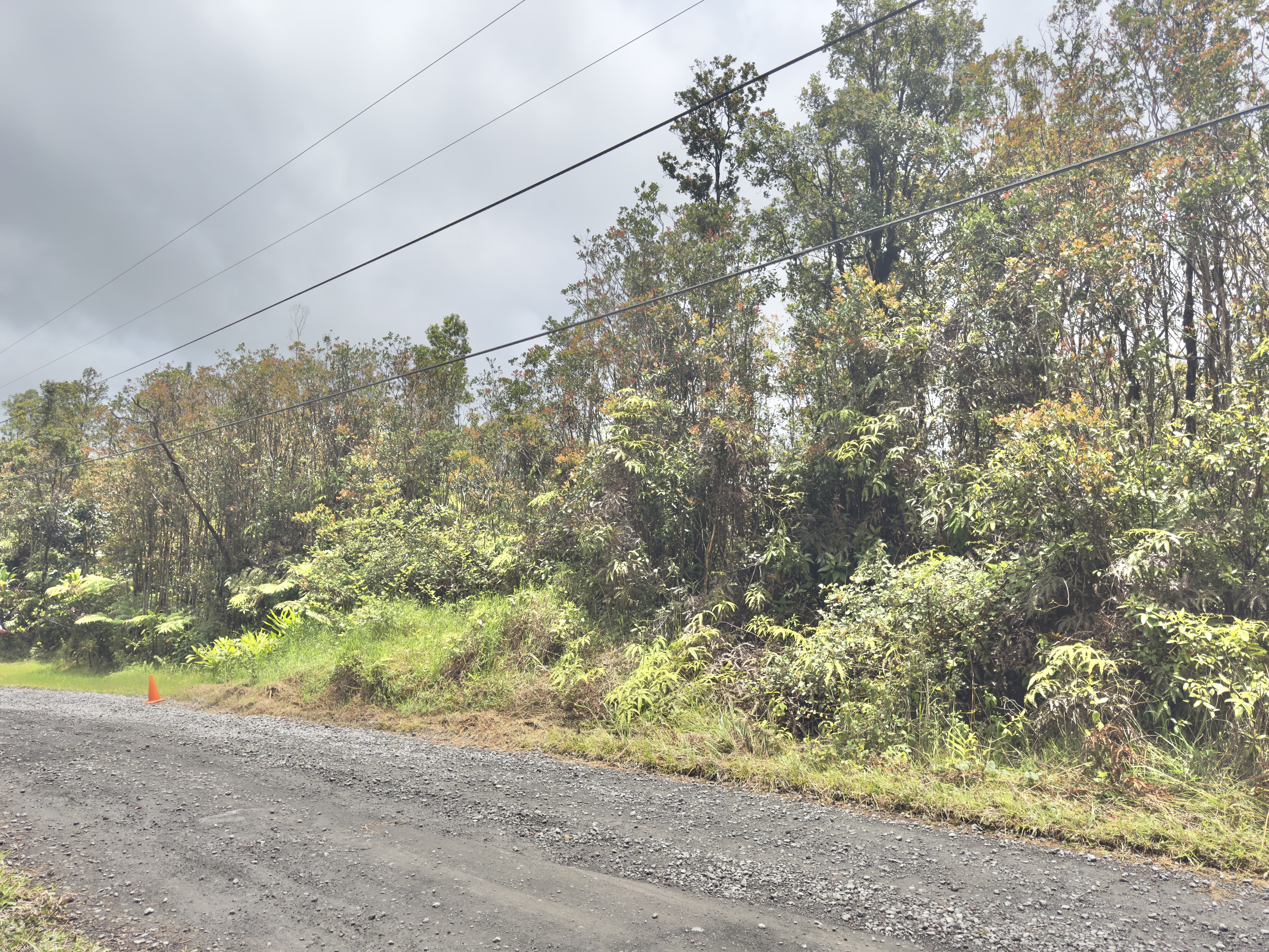 Jungle King Ave Property Photo 5