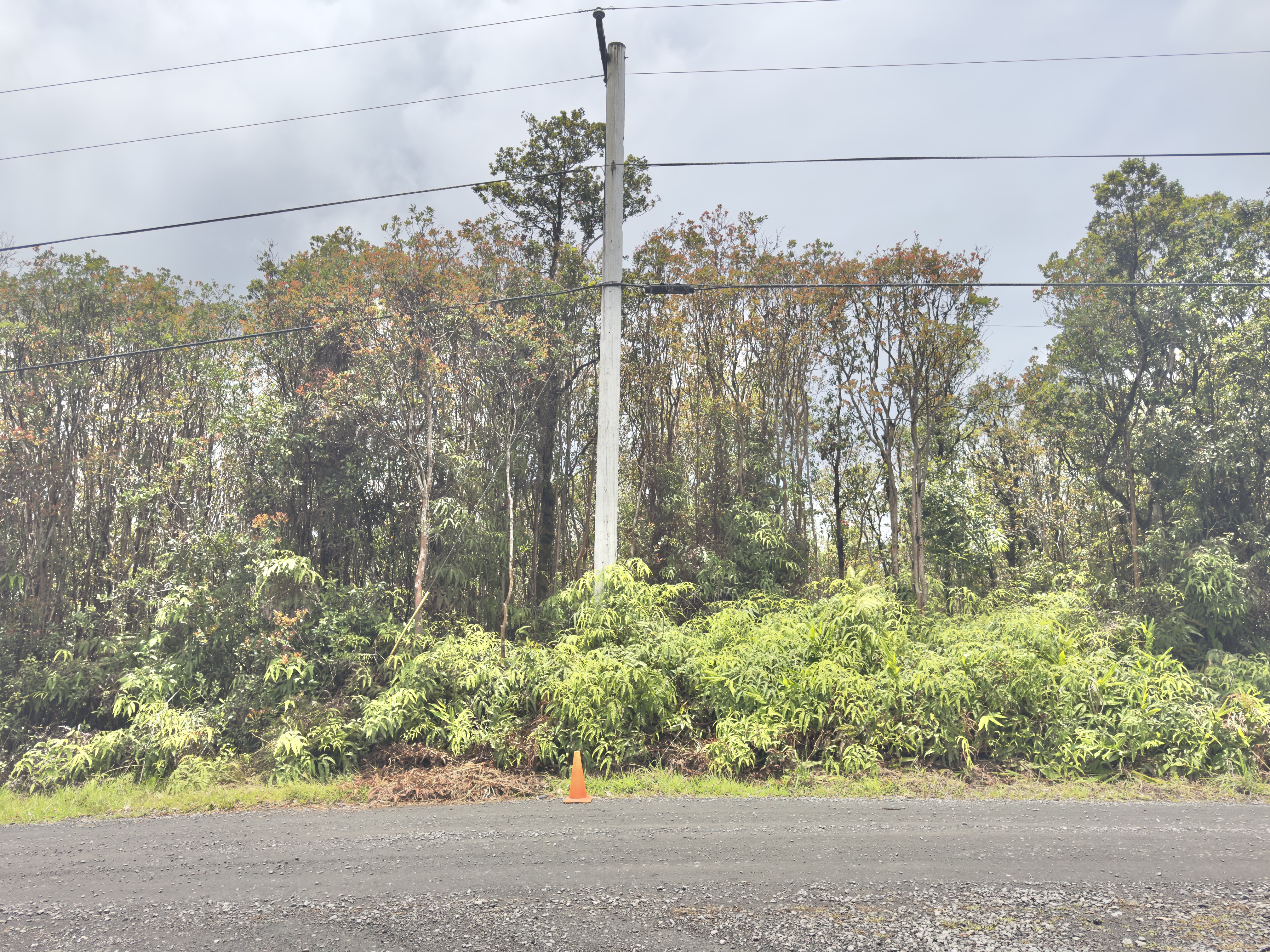 Jungle King Ave Property Photo 7