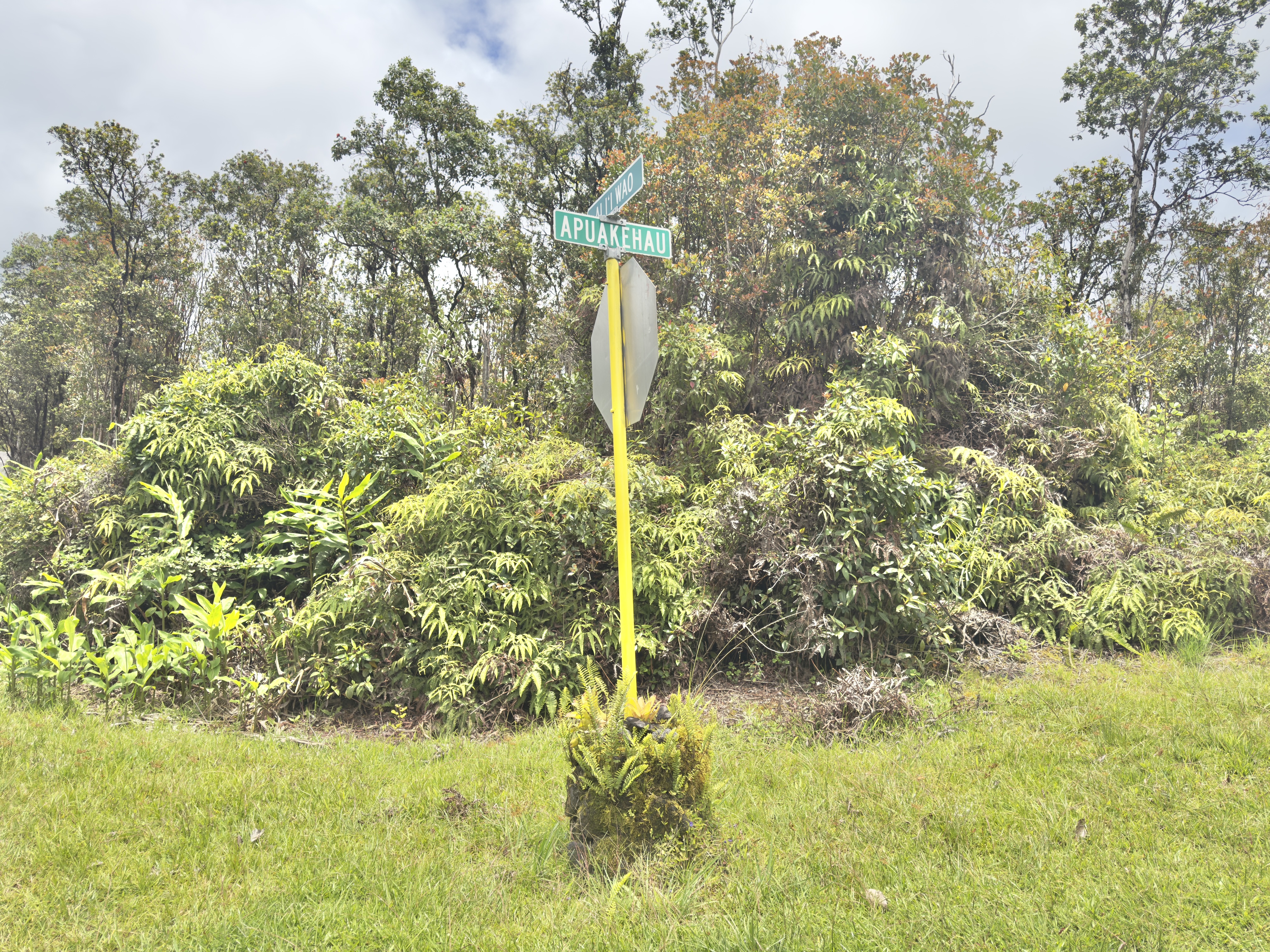 Jungle King Ave Property Photo 8