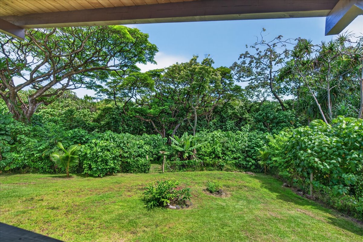 13-6700 Kapoho Kalapana Rd Property Photo 5