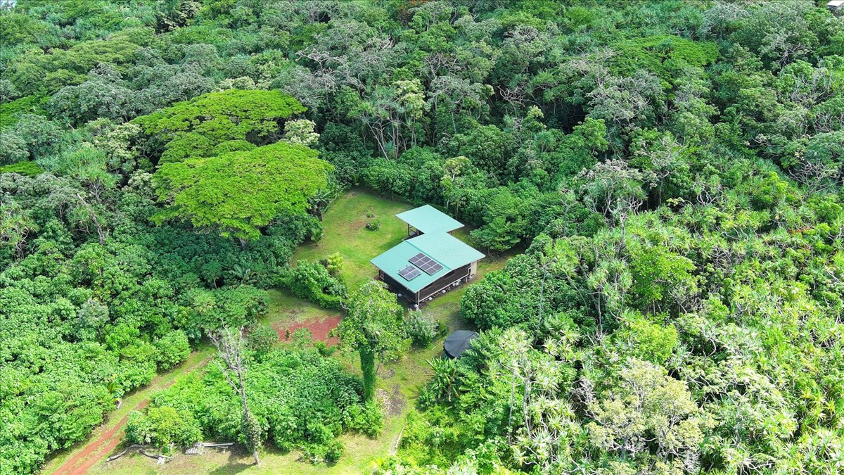 13-6700 Kapoho Kalapana Rd Property Photo 16