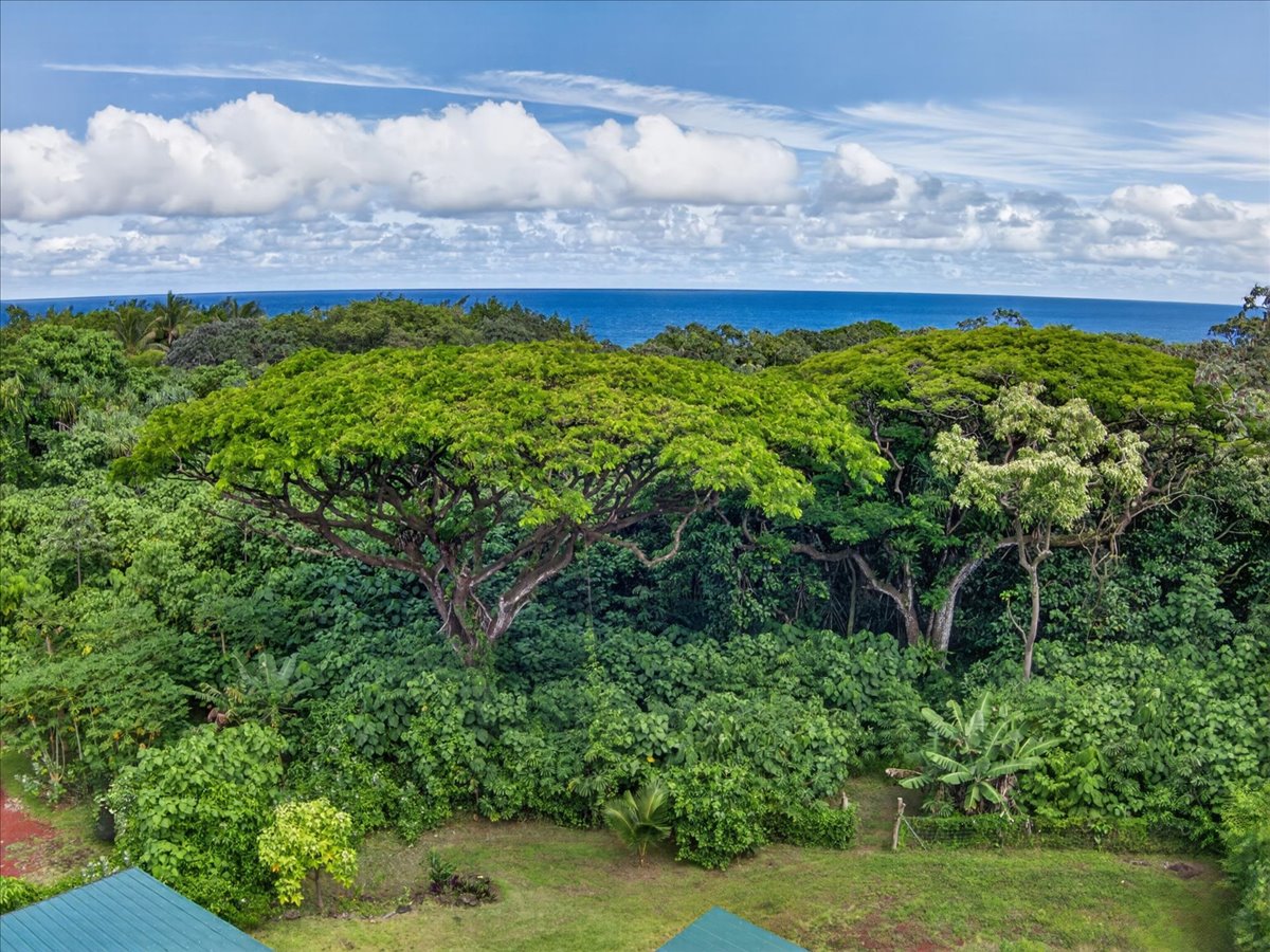 13-6700 Kapoho Kalapana Rd Property Photo 28
