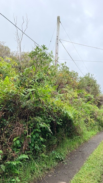 Oahu St Property Photo 3