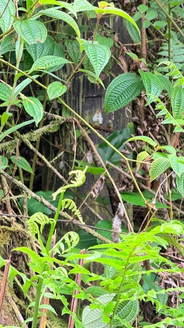 Oahu St Property Photo 6