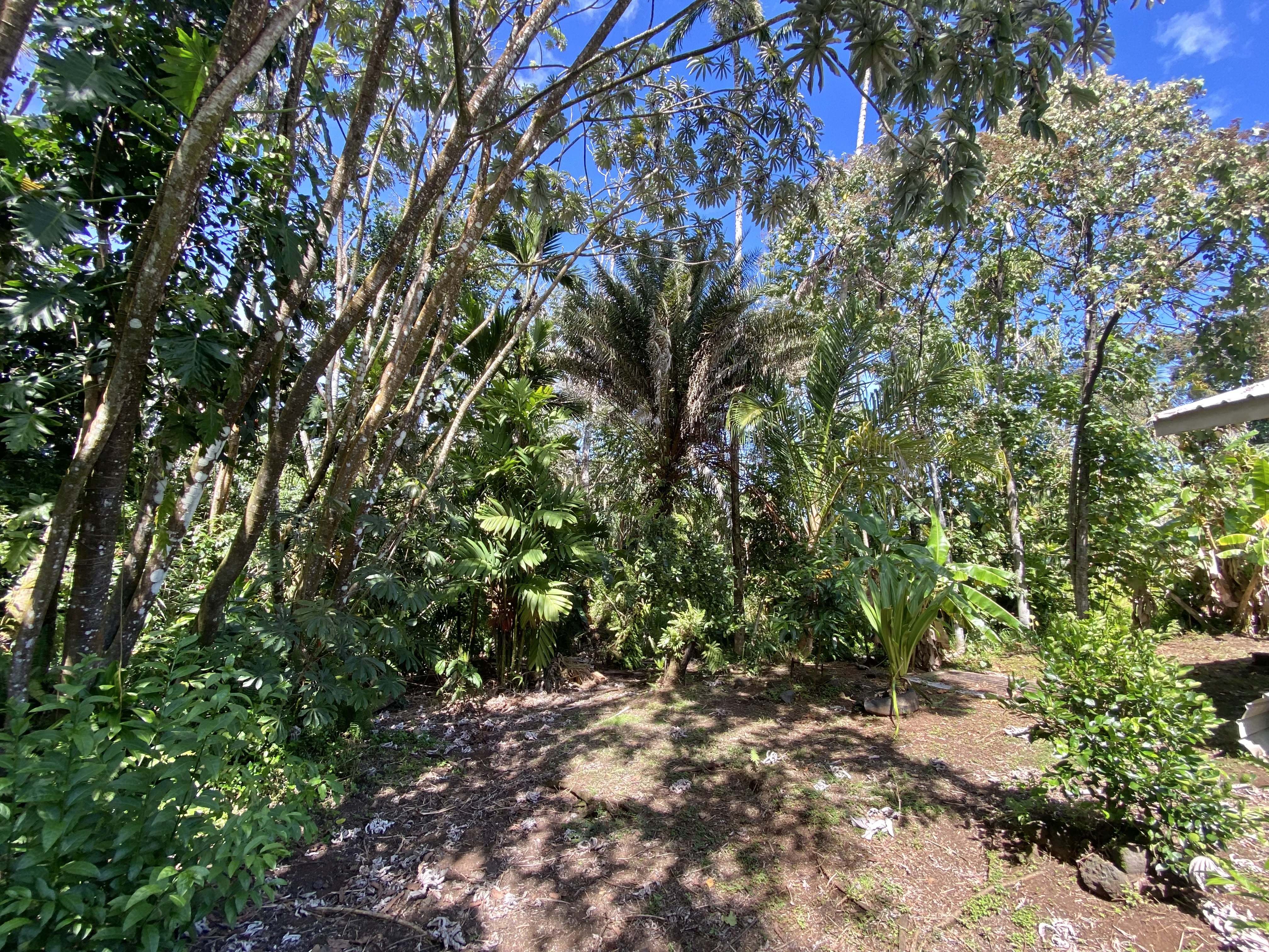 15-2773 Ono St Property Photo 10