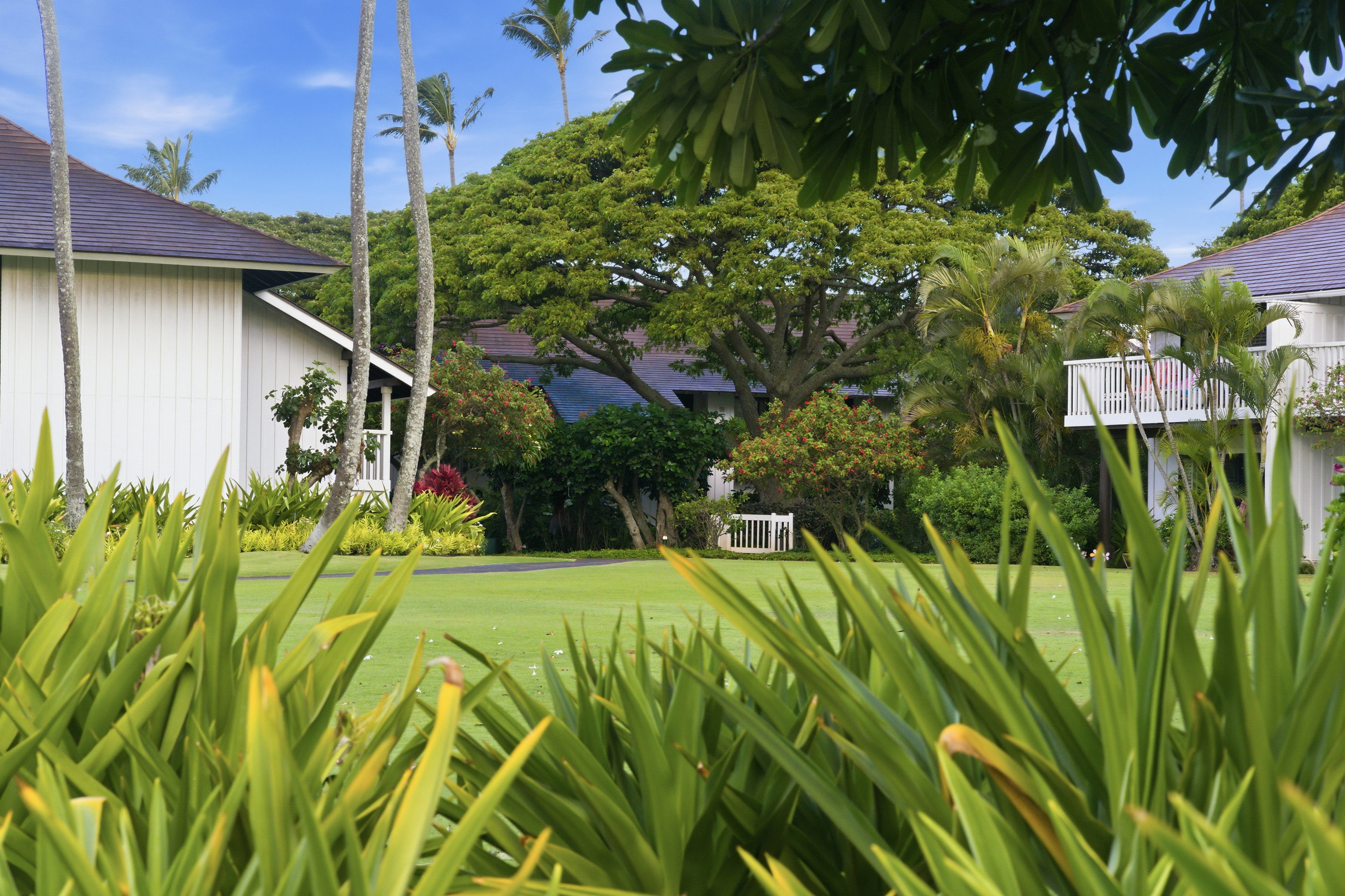 2253 Poipu Rd 123 Property Photo 23