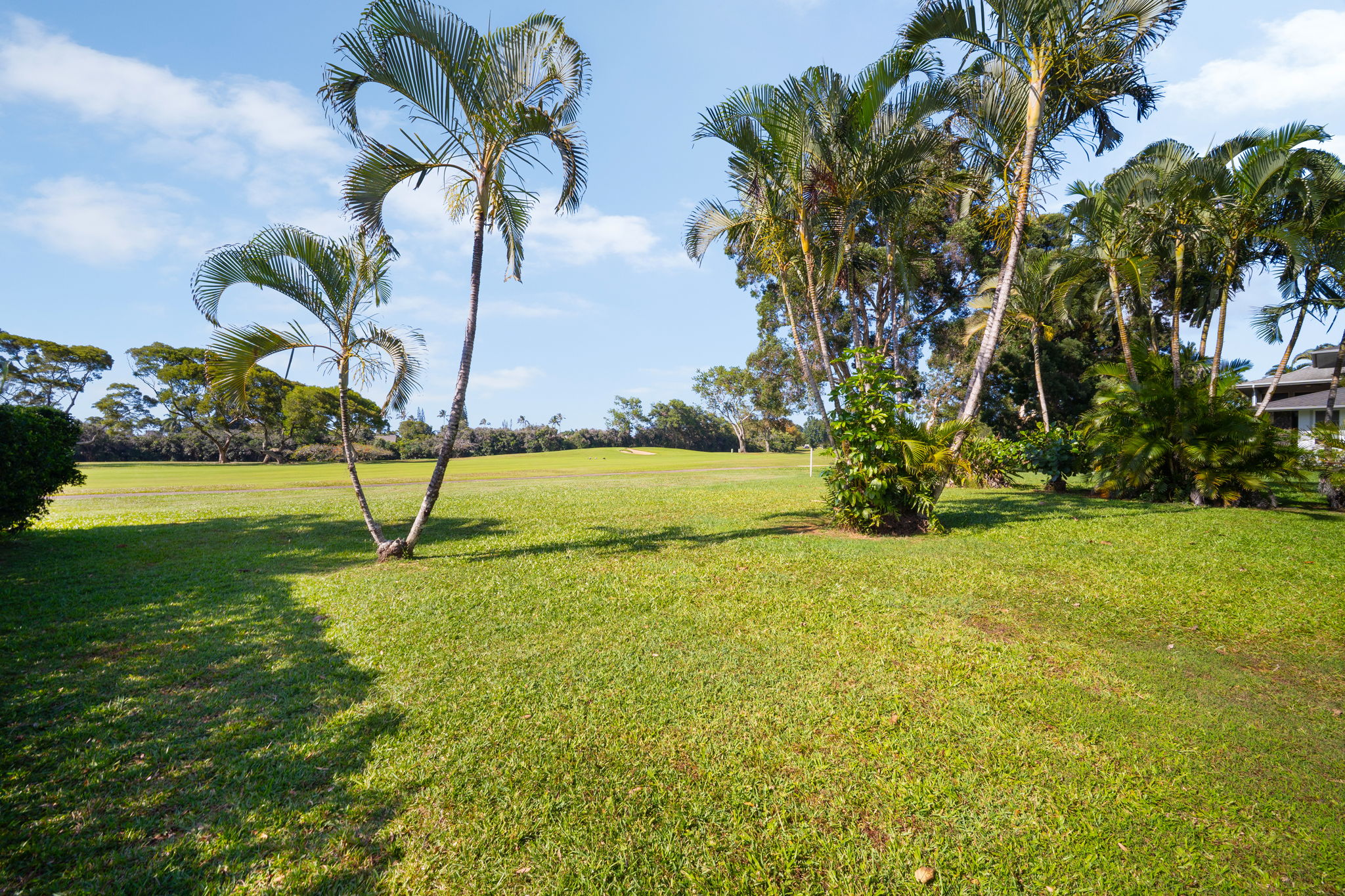 5282 Honoiki Rd Property Photo 23