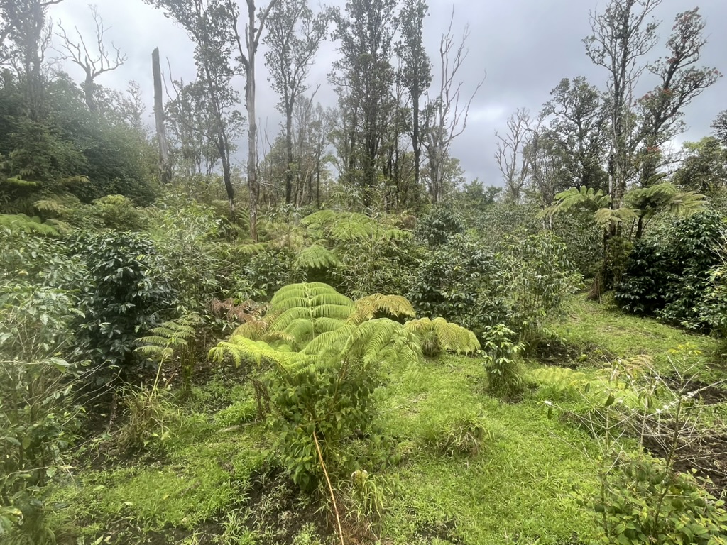 Kokokahi Rd Property Photo 8