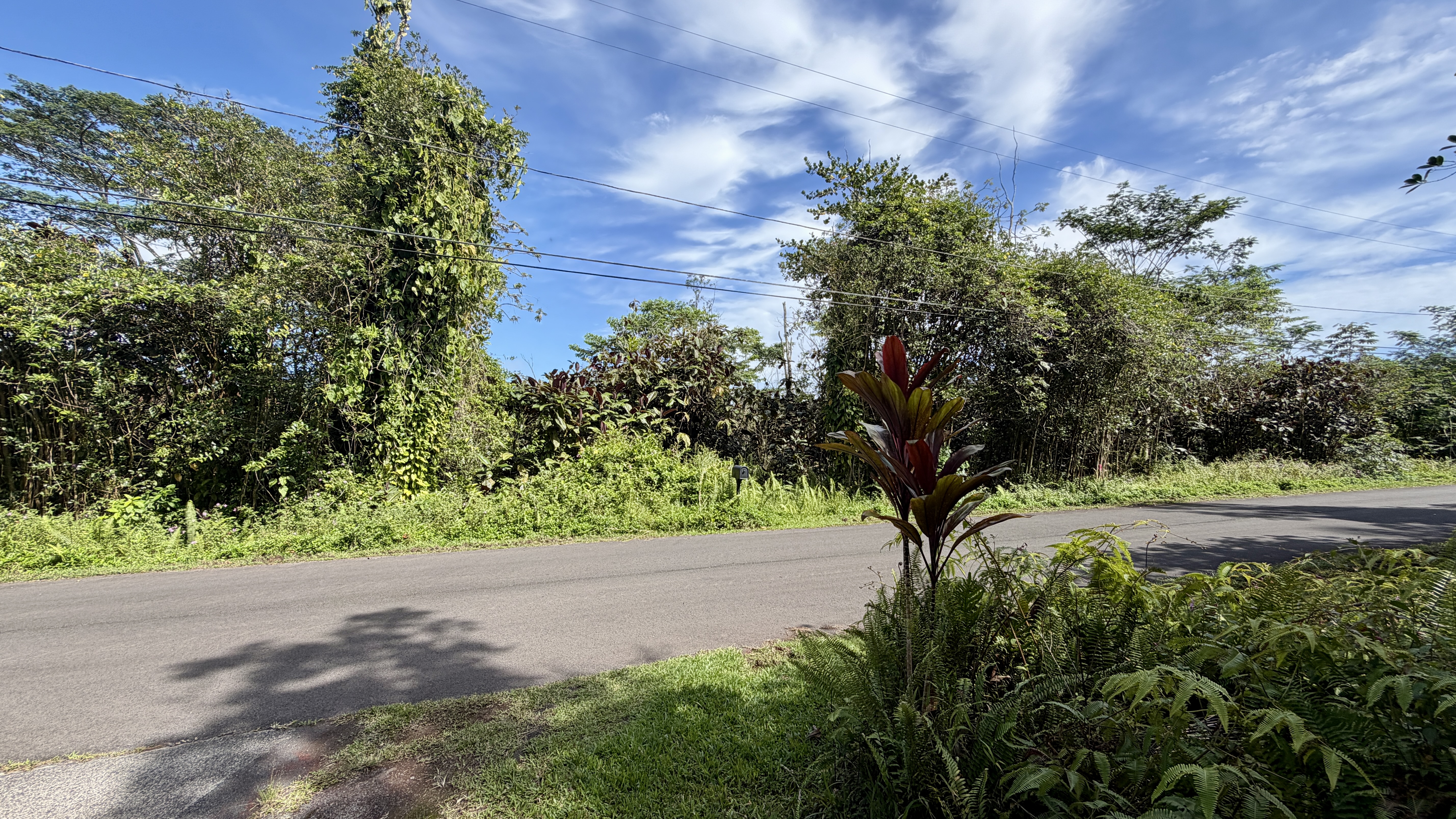 Kupono St Property Photo 1