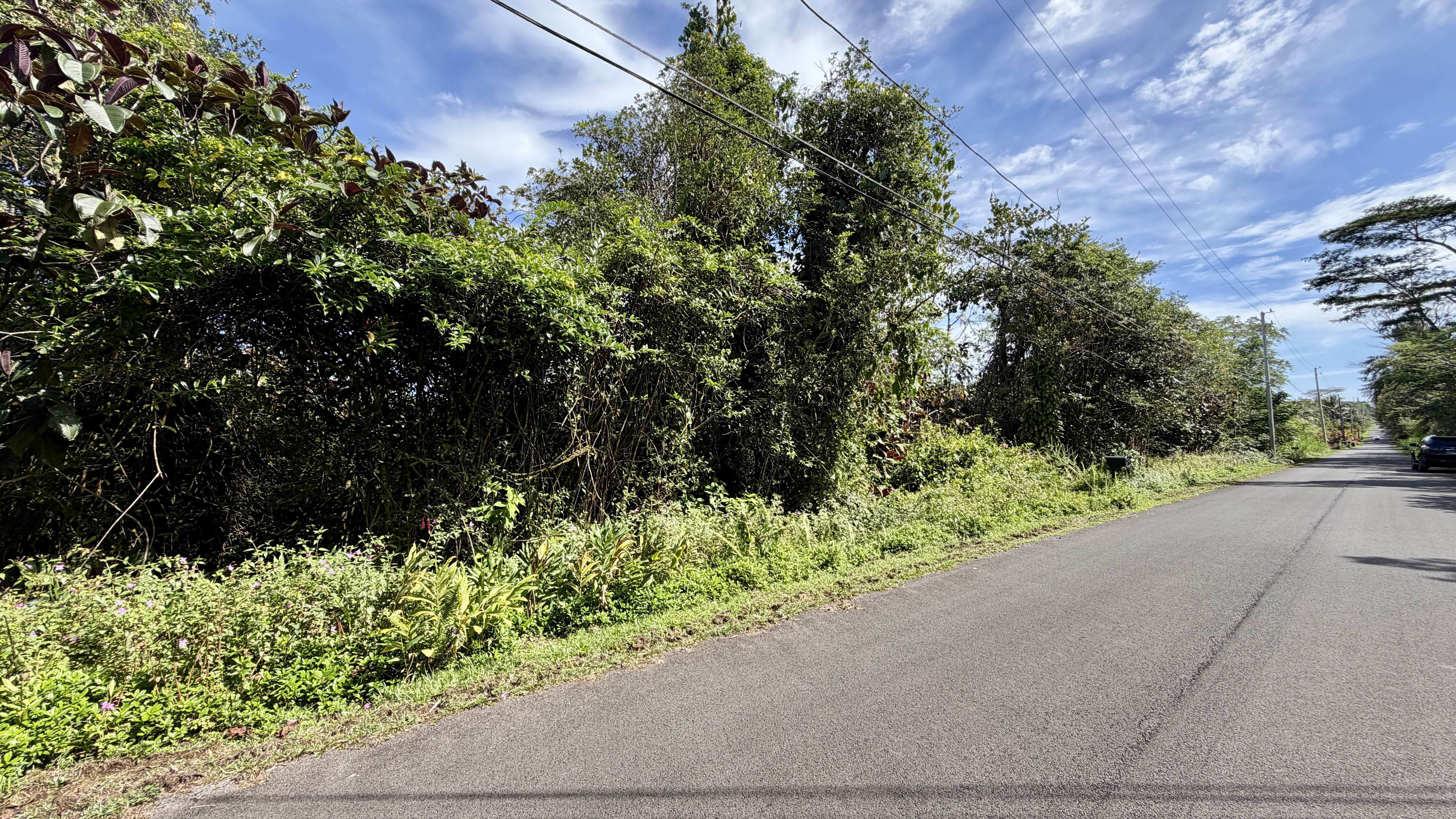 Kupono St Property Photo 3