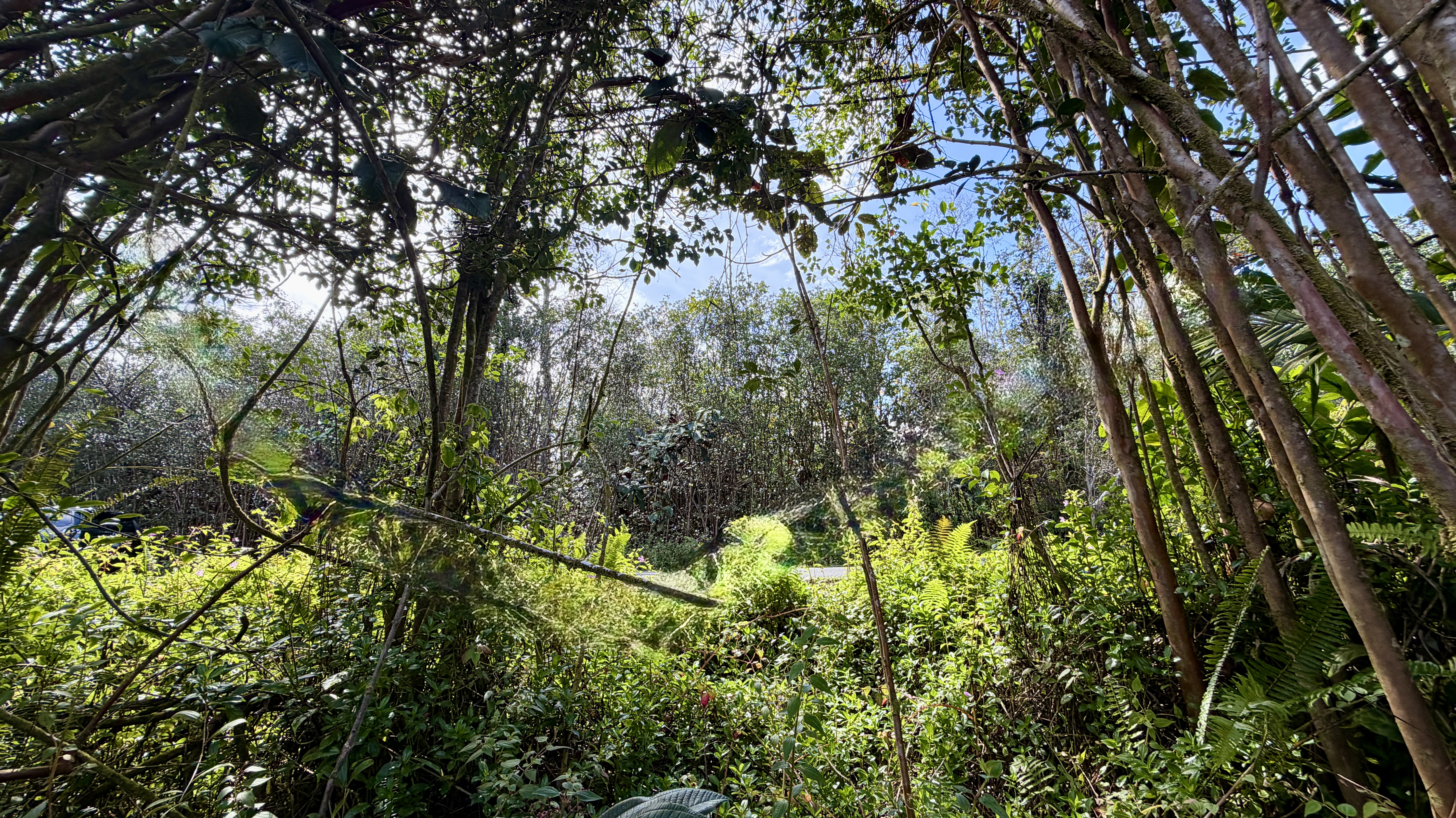 Kupono St Property Photo 11