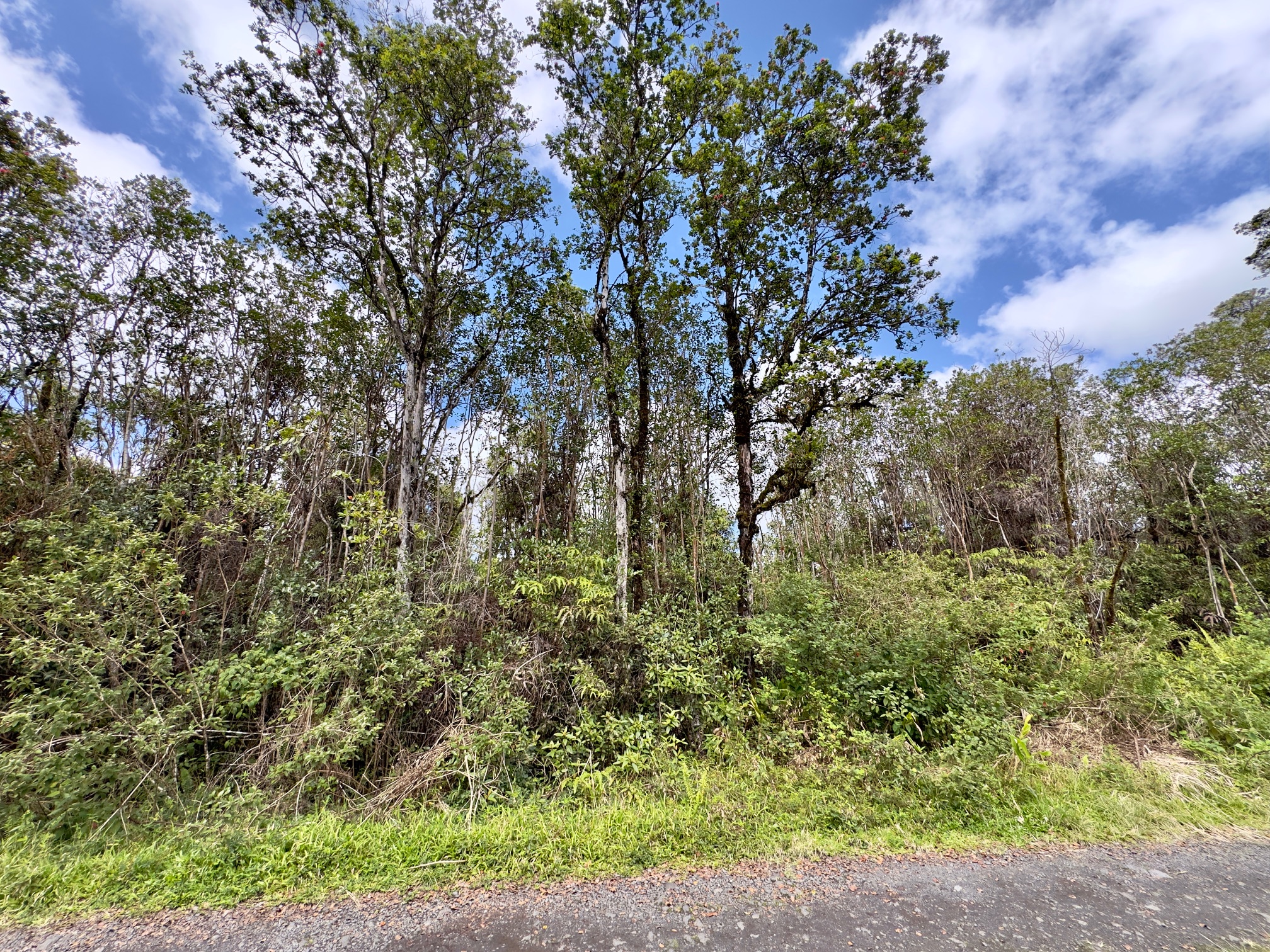 Kopaa St Property Photo 3