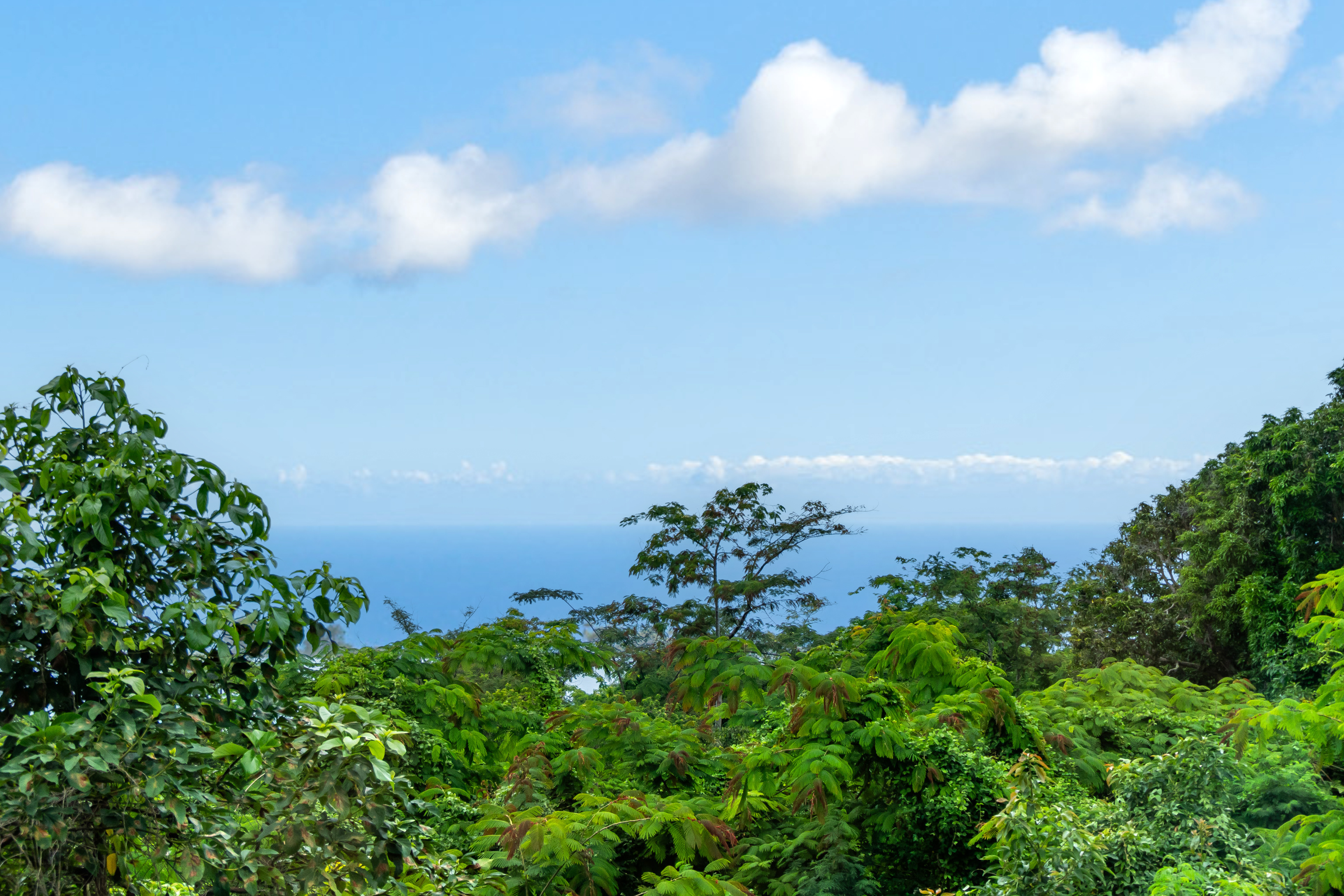 87-3476 Mamalahoa Highway Property Photo 3